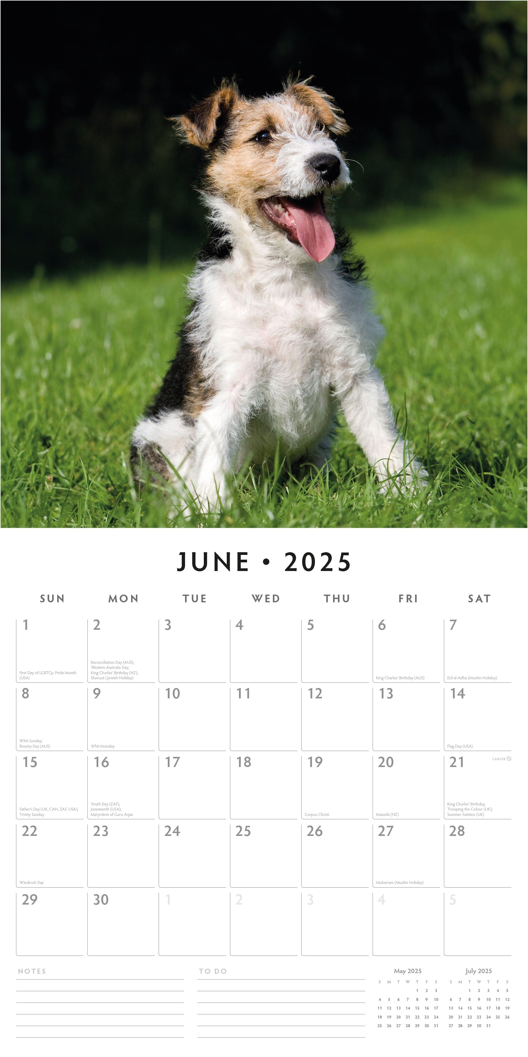 2025 Wire Fox Terriers - Square Wall Calendar