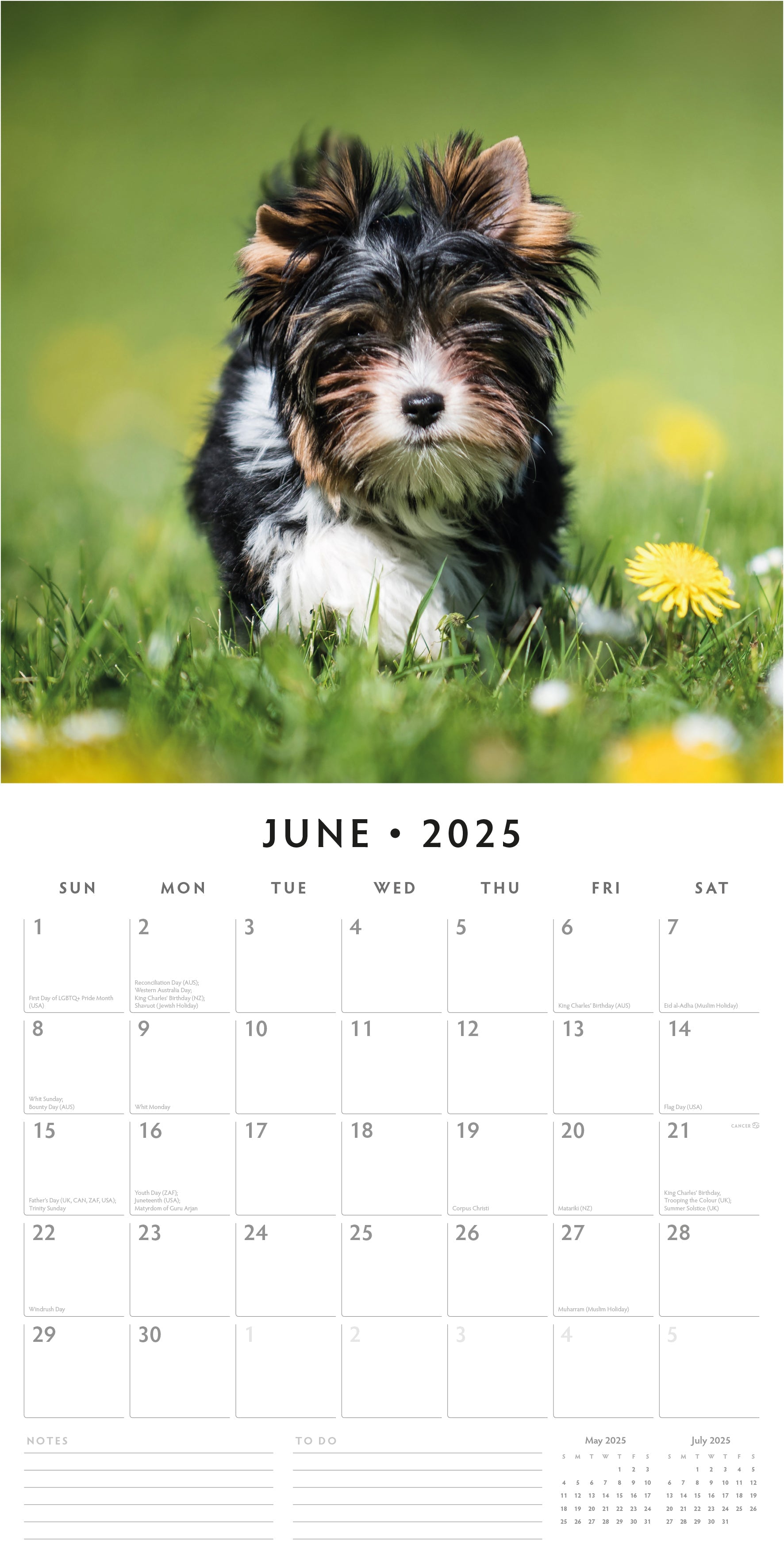 2025 Yorkshire Terrier Puppies - Square Wall Calendar