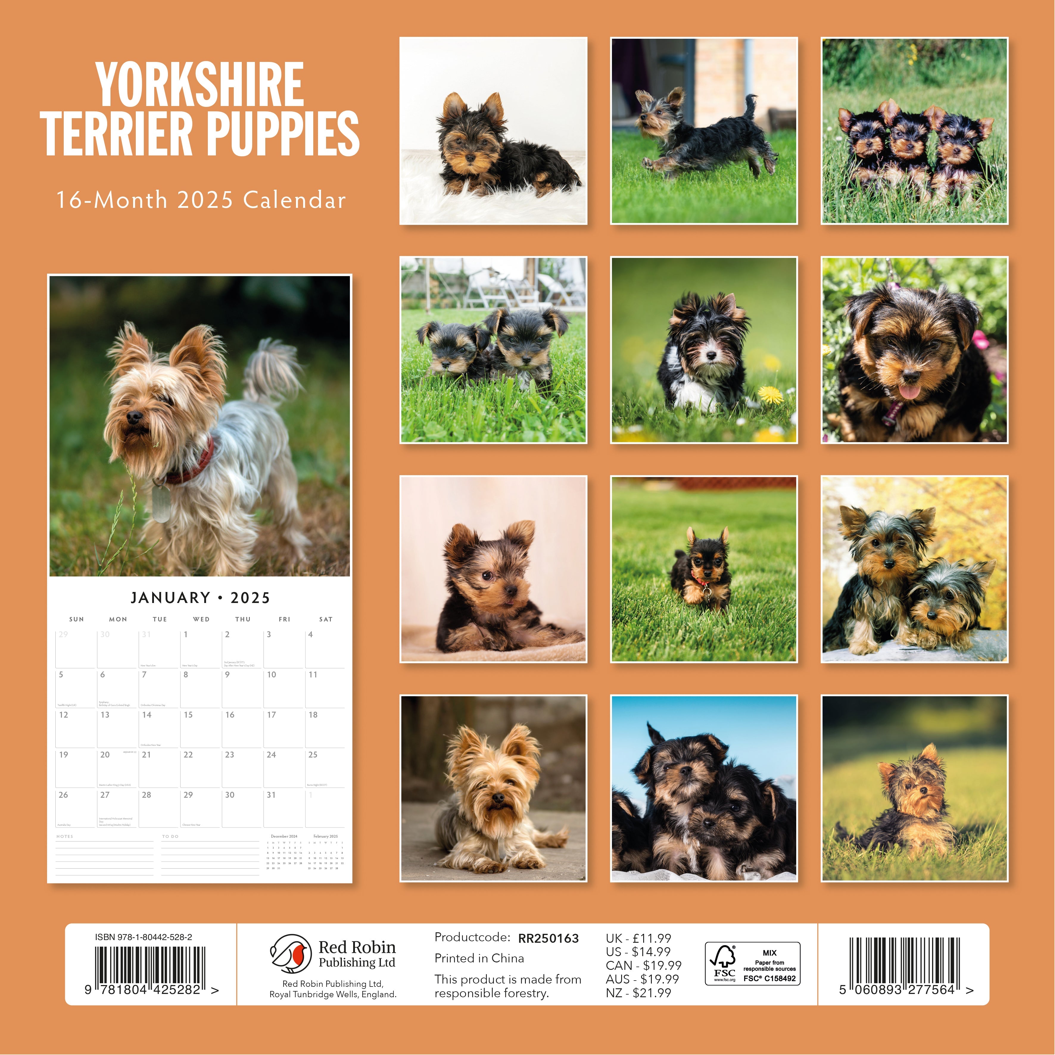 2025 Yorkshire Terrier Puppies - Square Wall Calendar