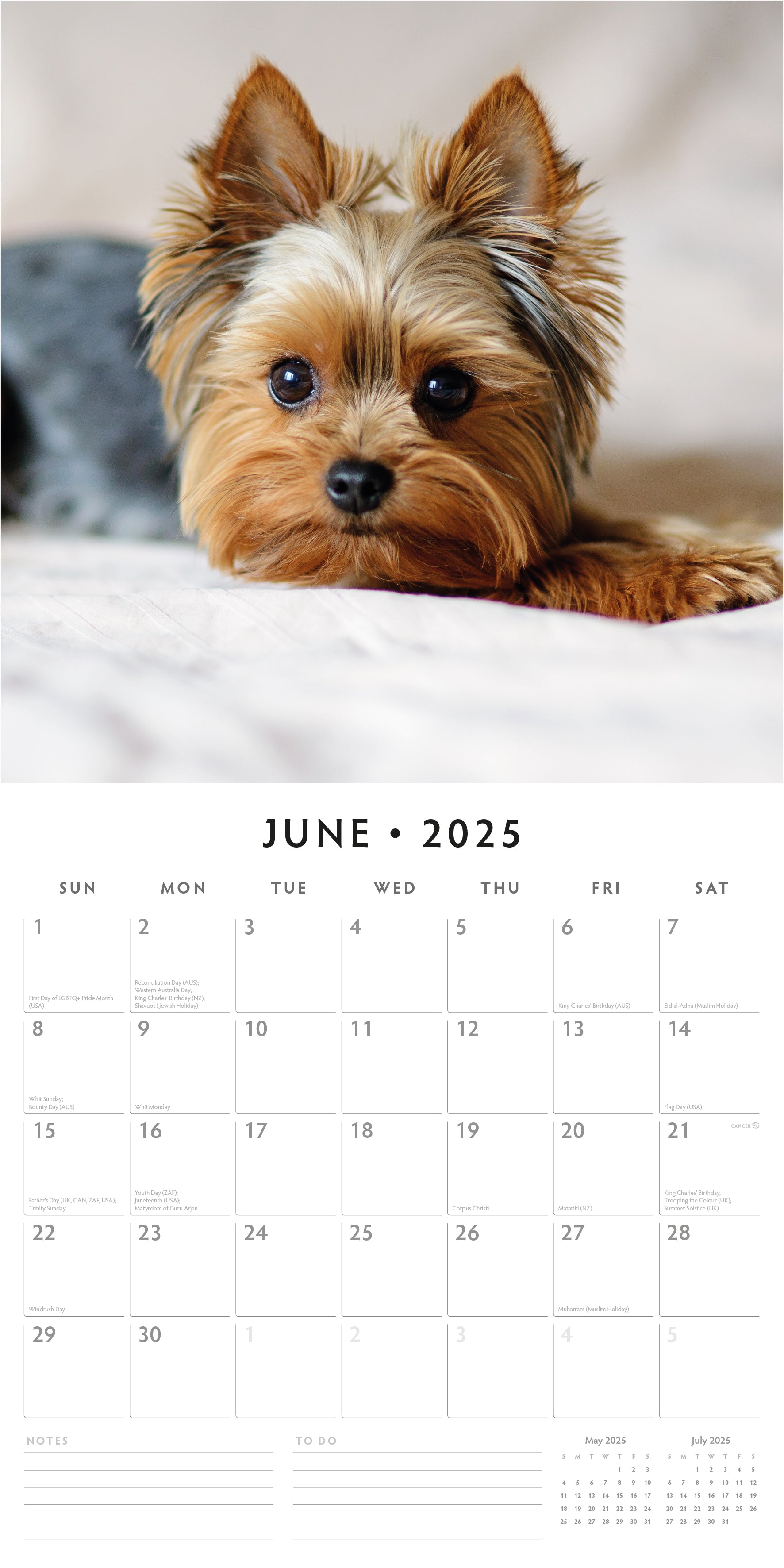 2025 Yorkshire Terriers - Square Wall Calendar