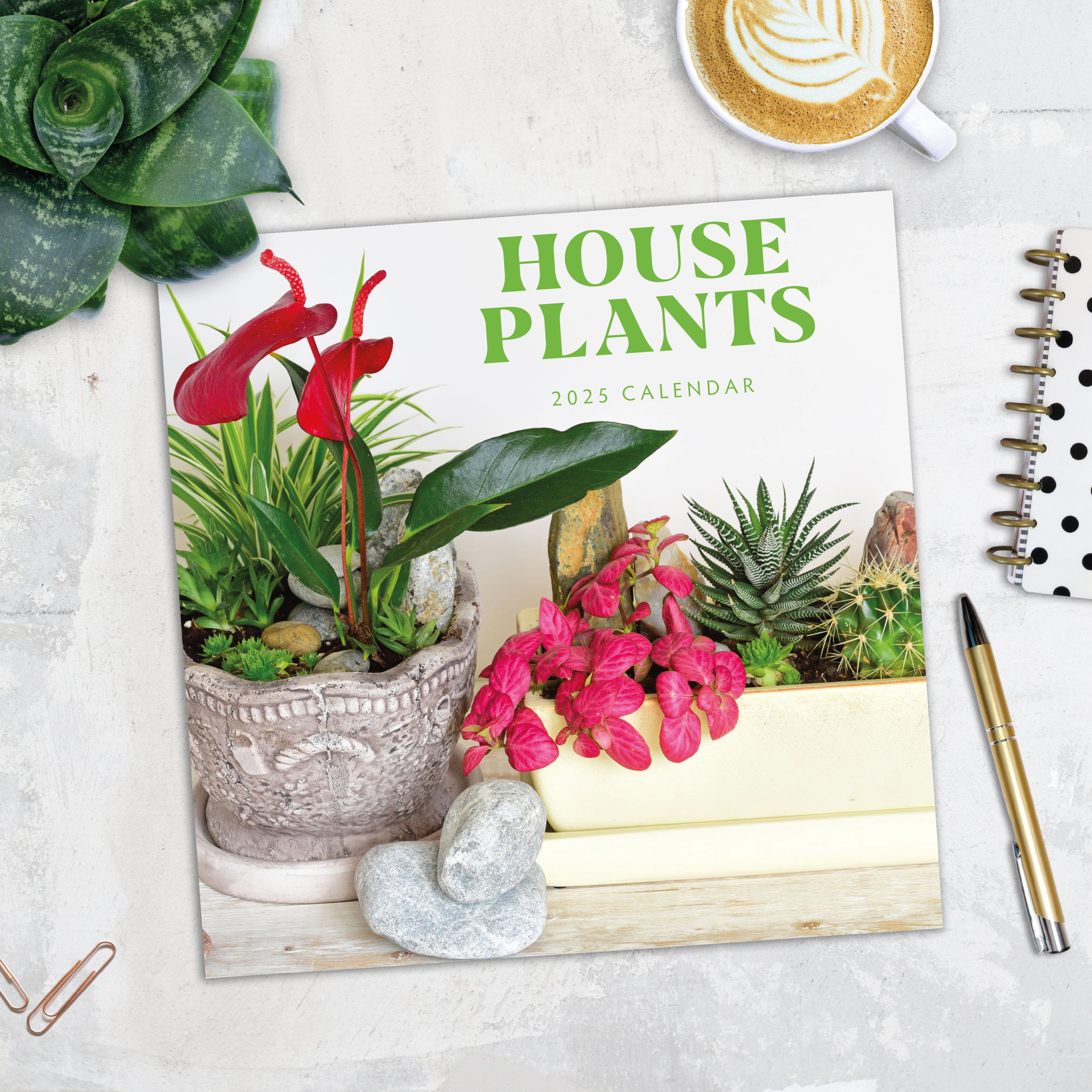 2025 House Plants - Square Wall Calendar