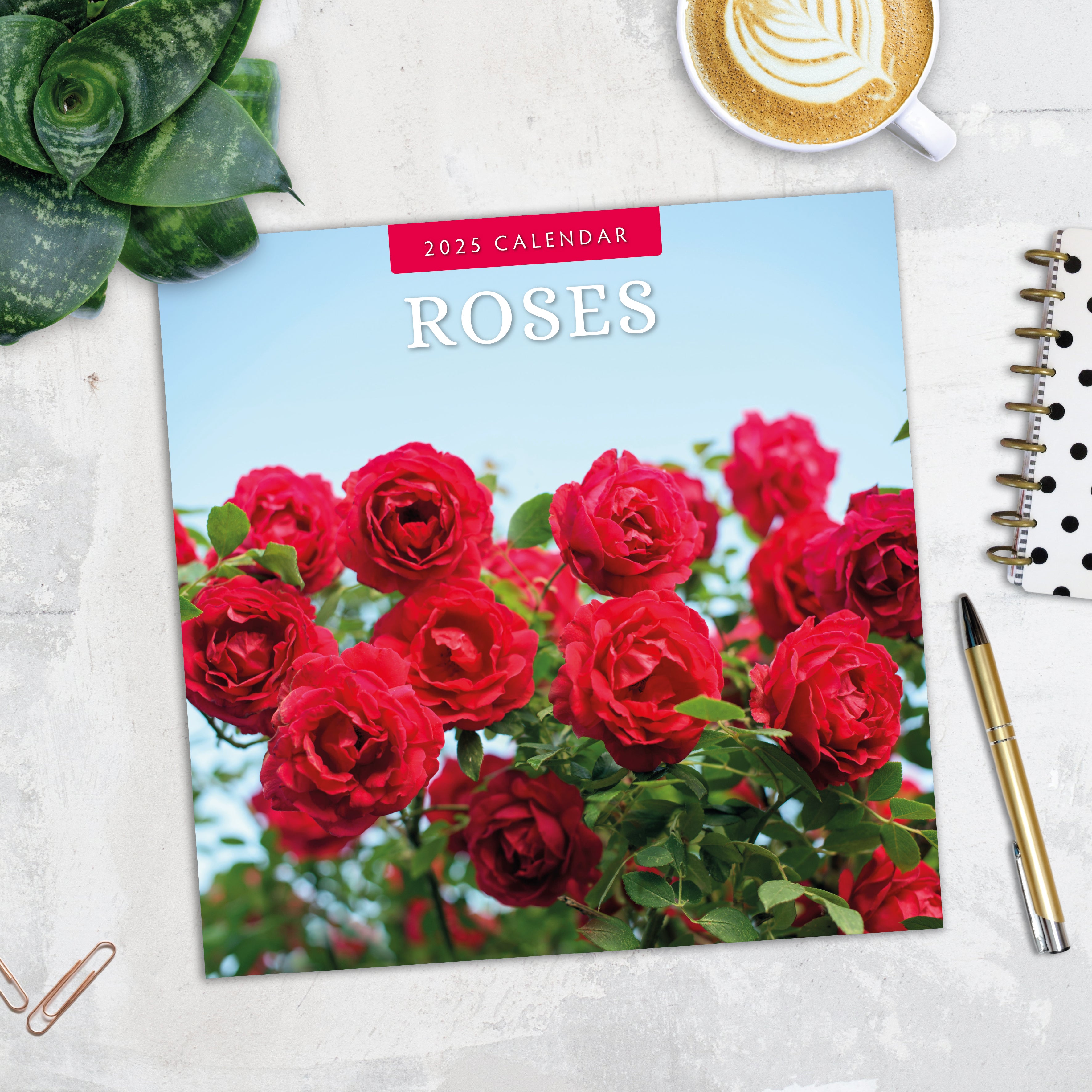 2025 Roses - Square Wall Calendar