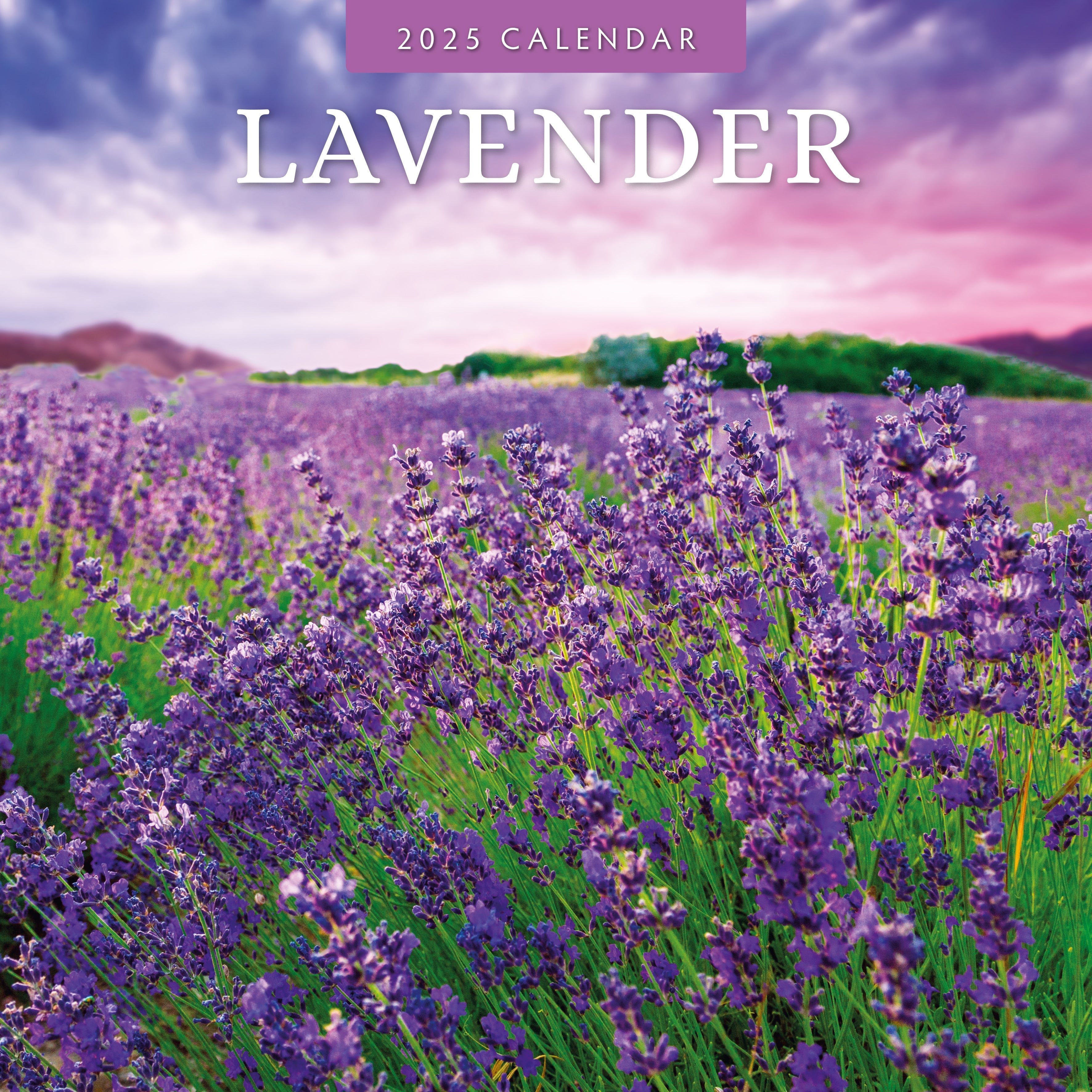 2025 Lavender - Square Wall Calendar