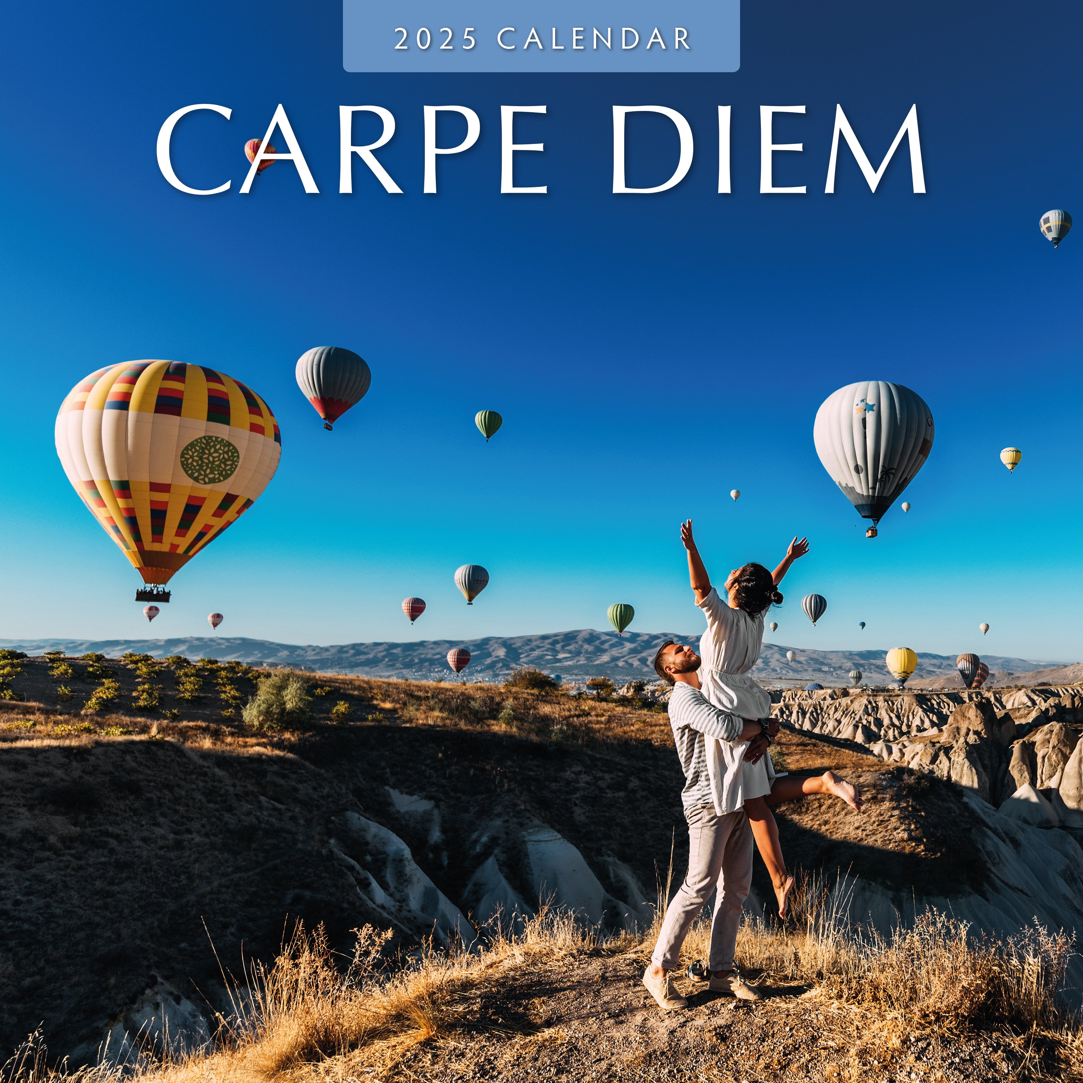 2025 Carpe Diem - Square Wall Calendar