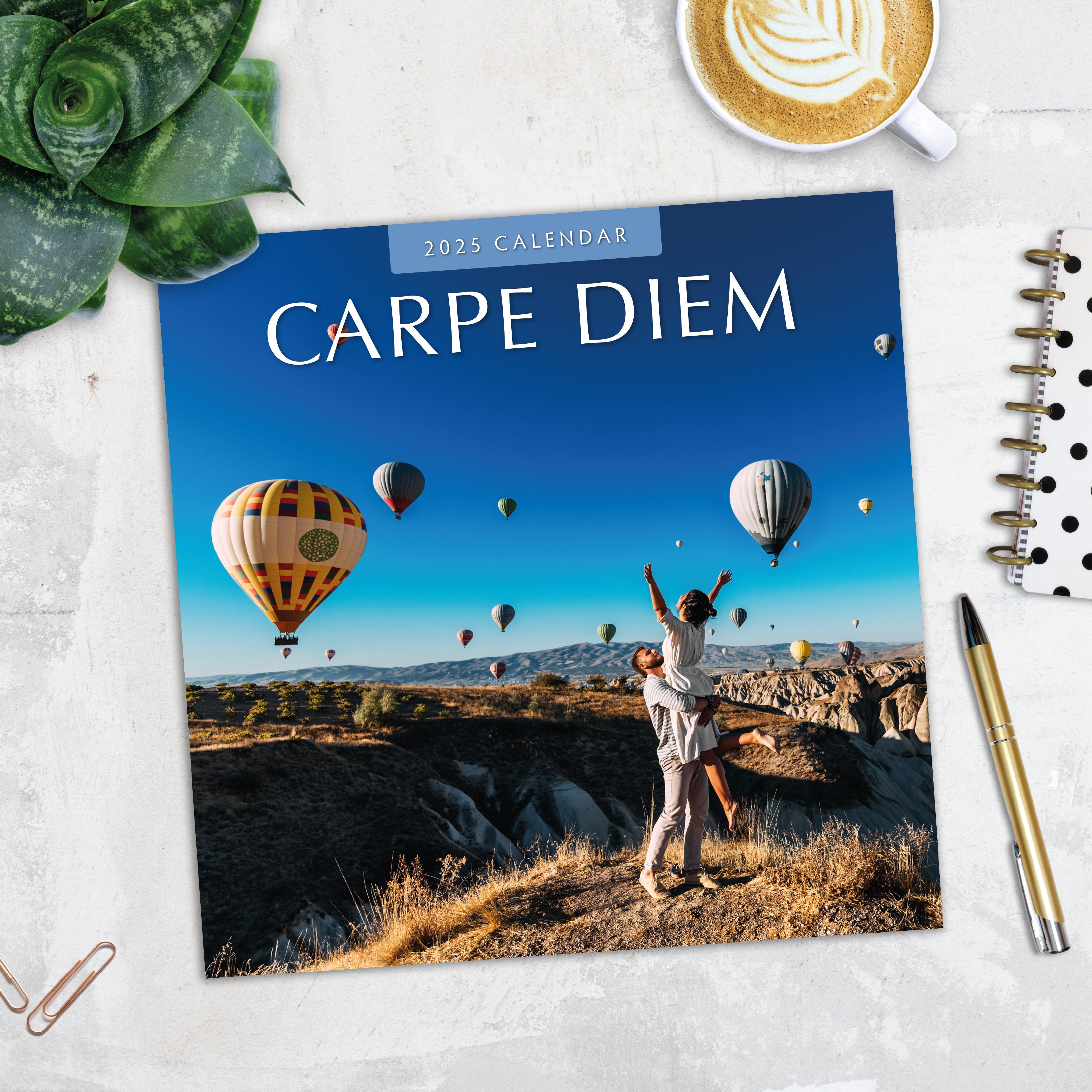 2025 Carpe Diem - Square Wall Calendar