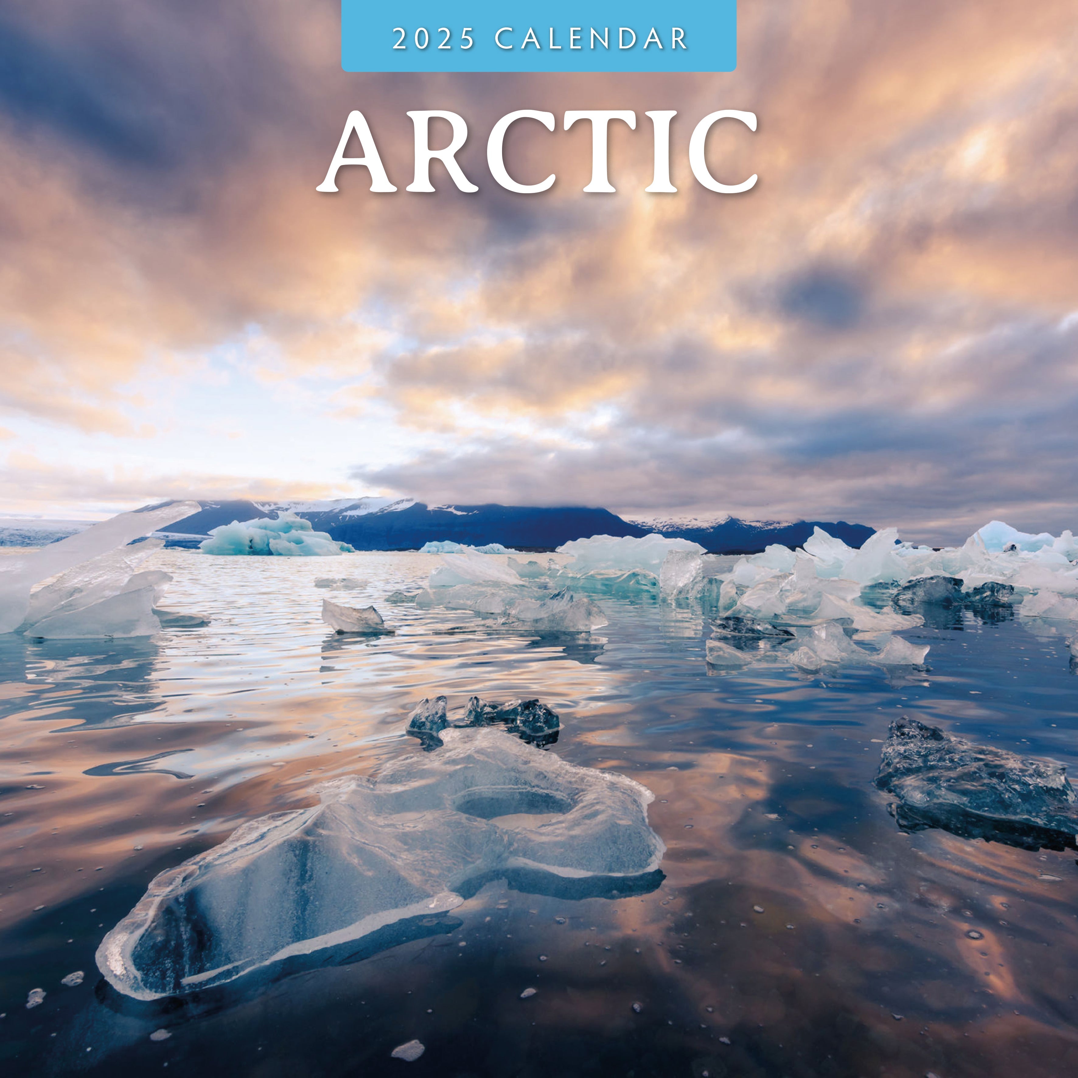 2025 Arctic - Square Wall Calendar