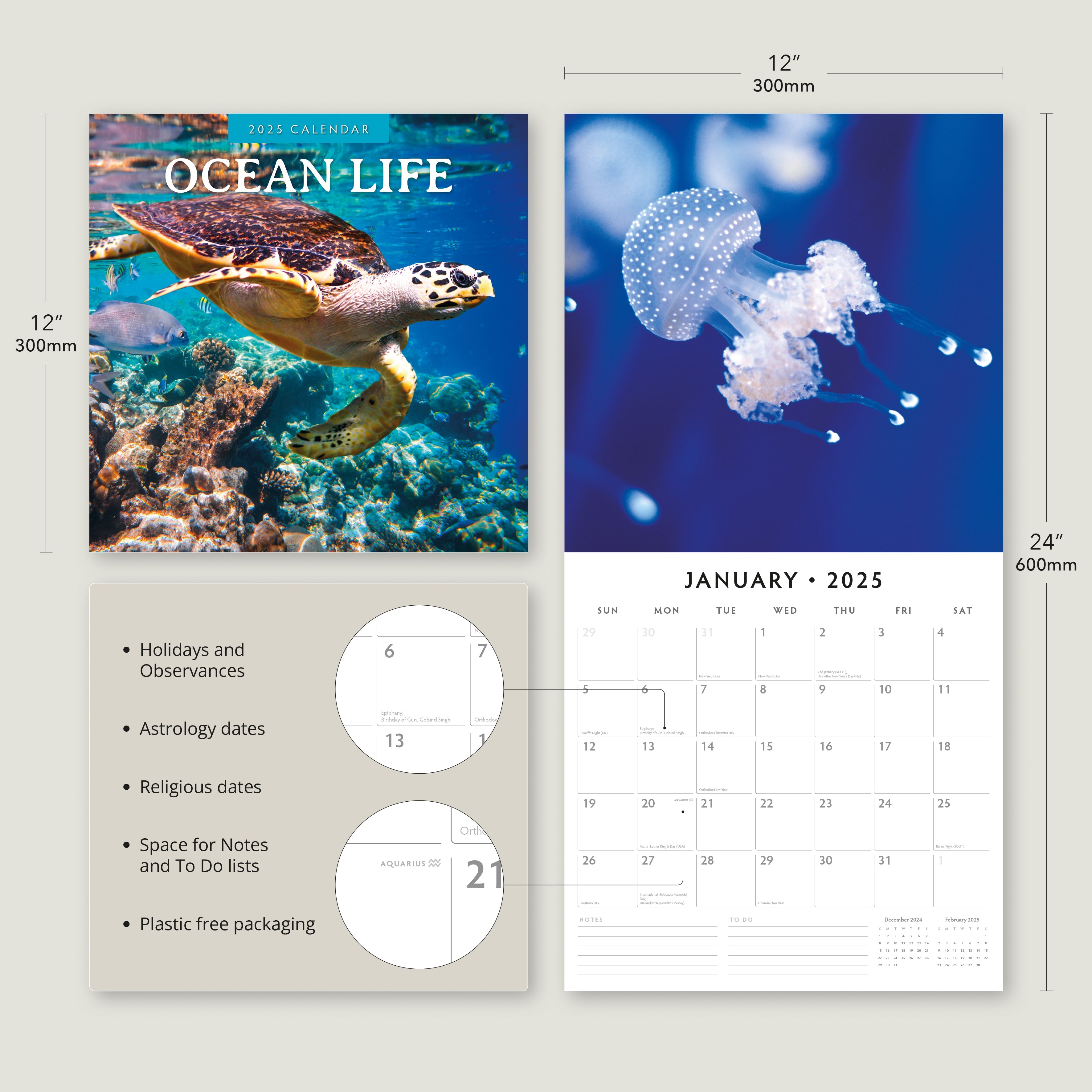 2025 Ocean Life - Square Wall Calendar