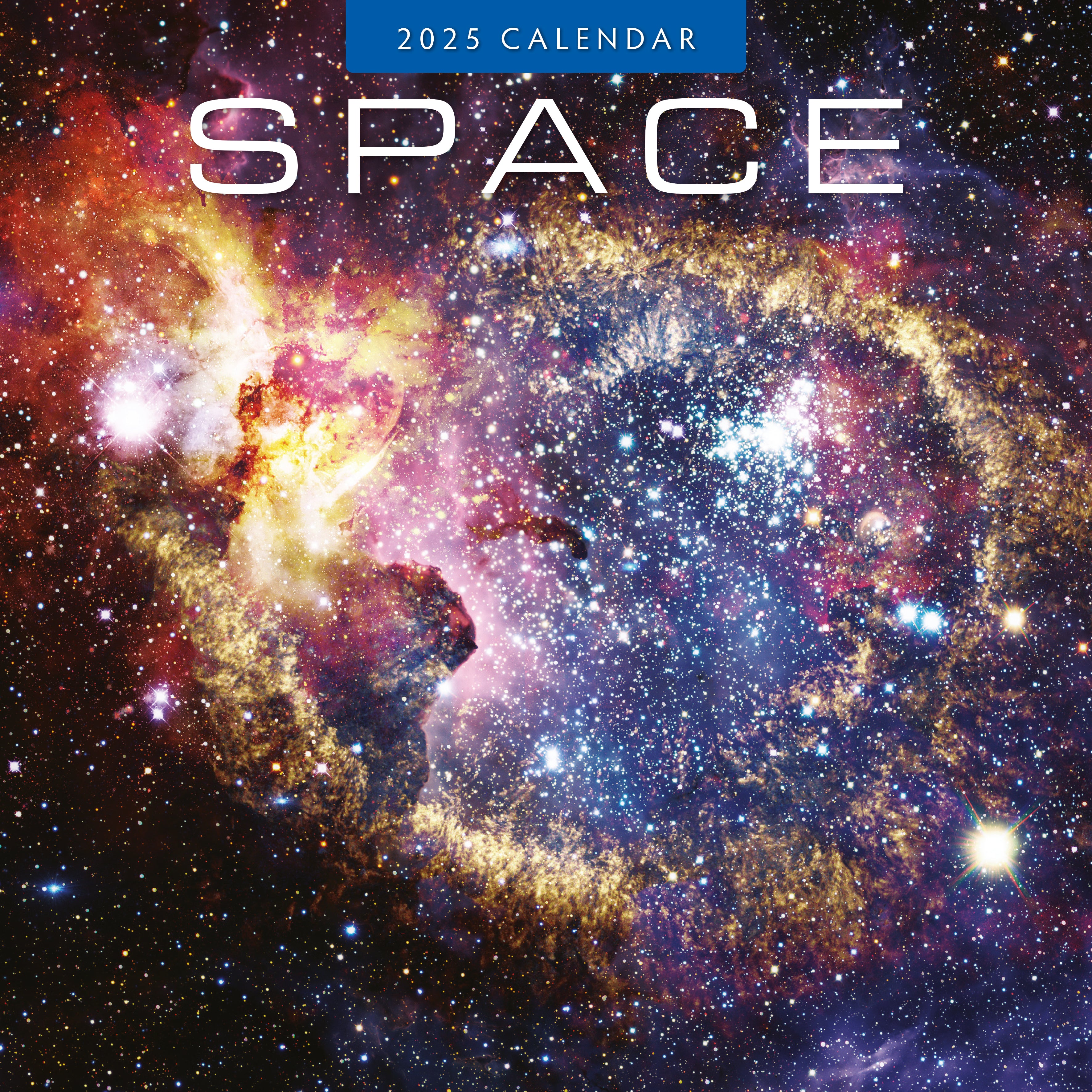 2025 Space - Square Wall Calendar