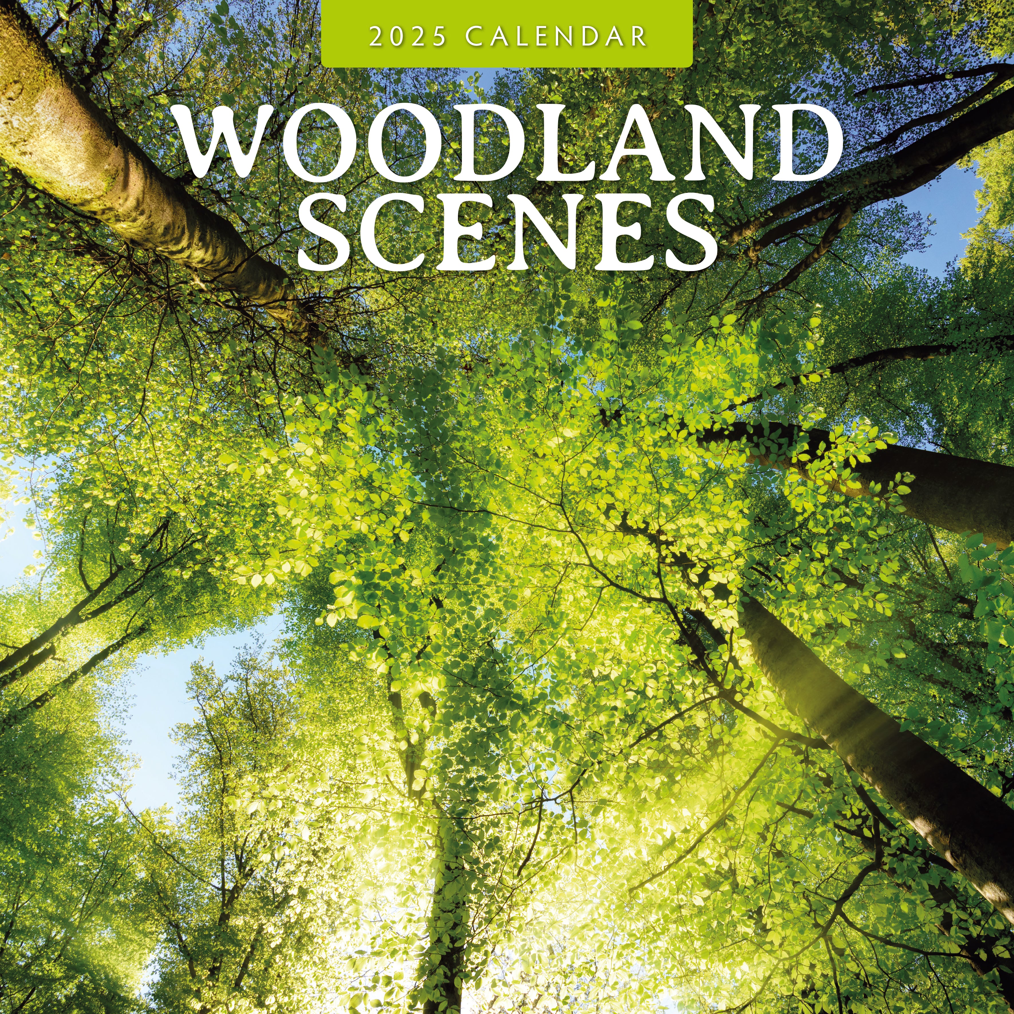 2025 Woodland Scenes - Square Wall Calendar