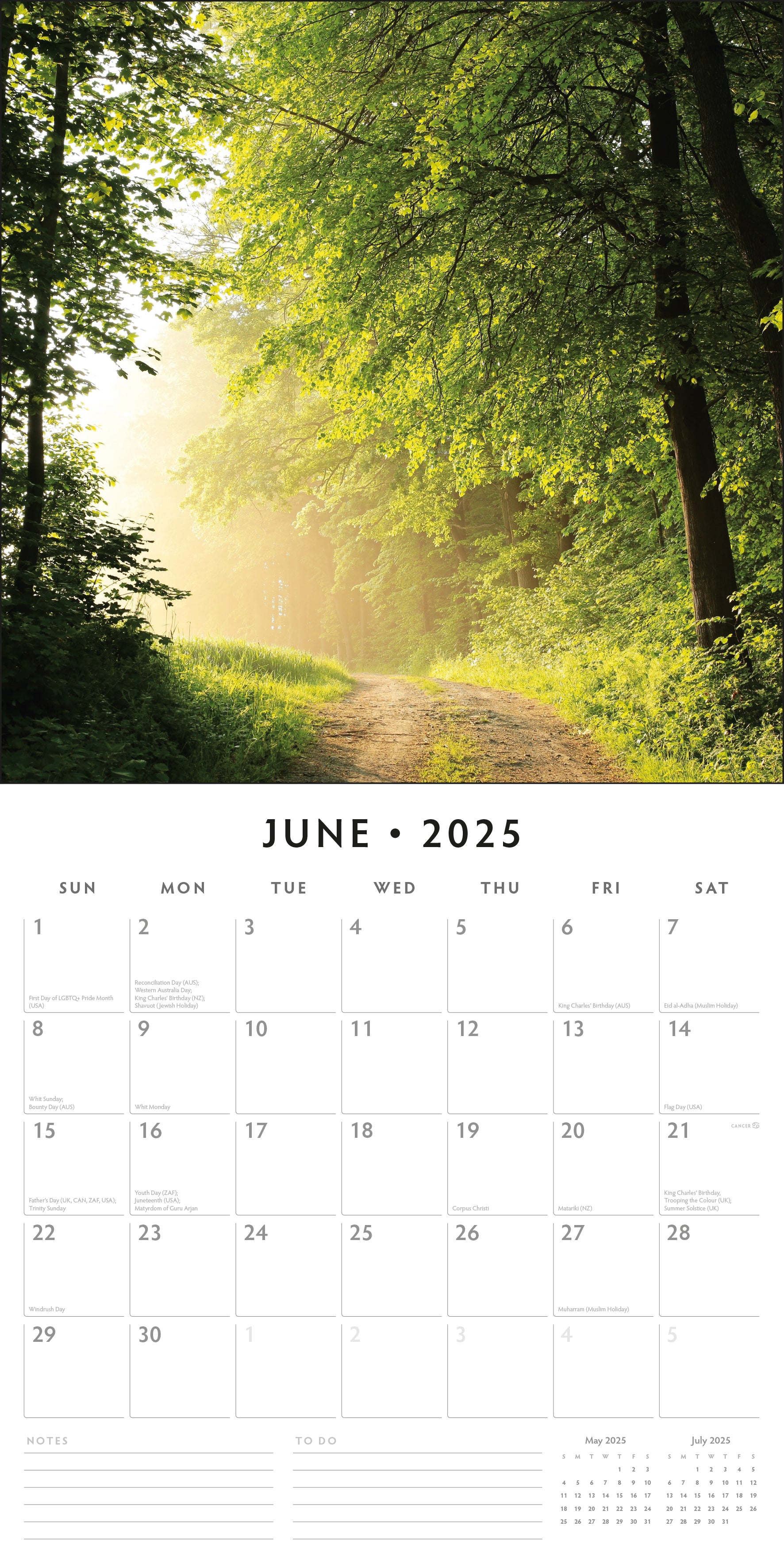 2025 Woodland Scenes - Square Wall Calendar