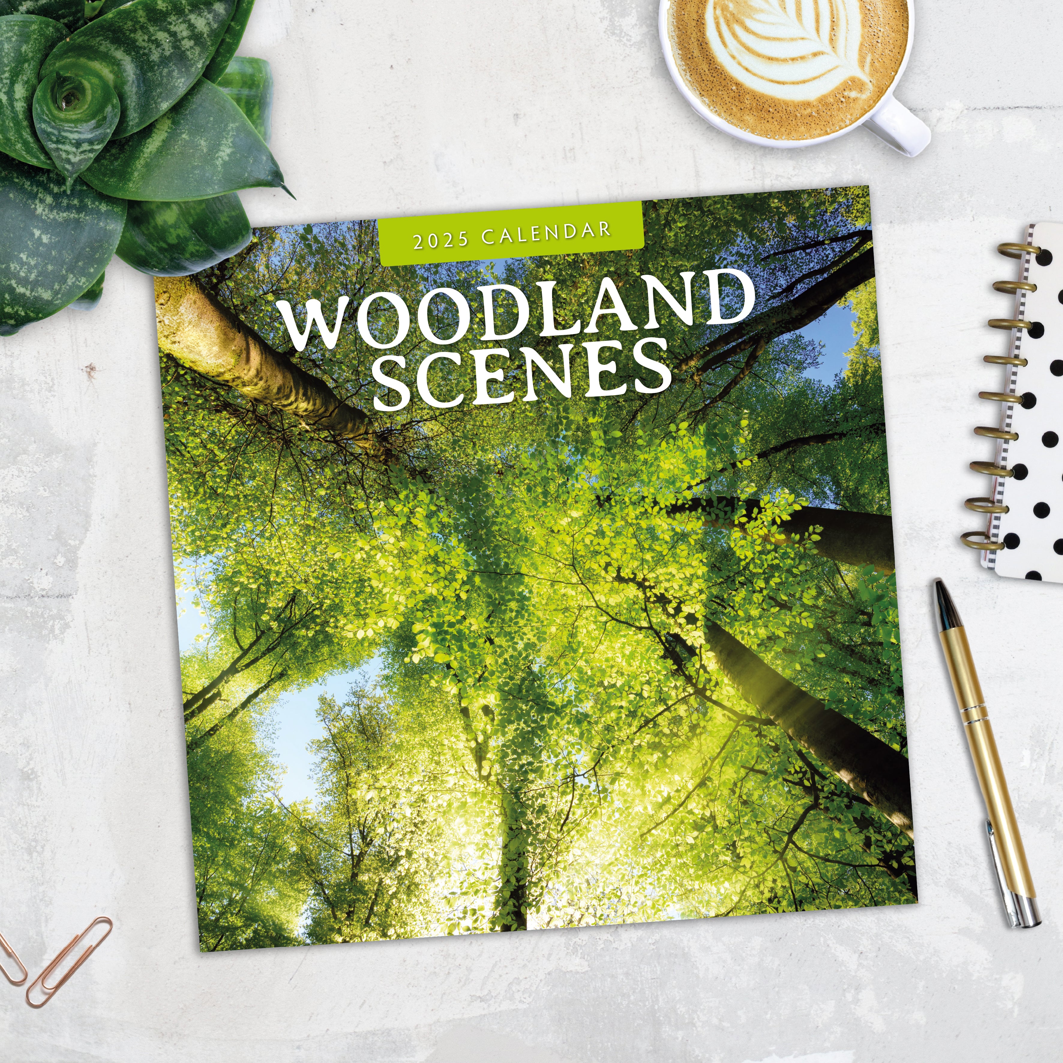 2025 Woodland Scenes - Square Wall Calendar