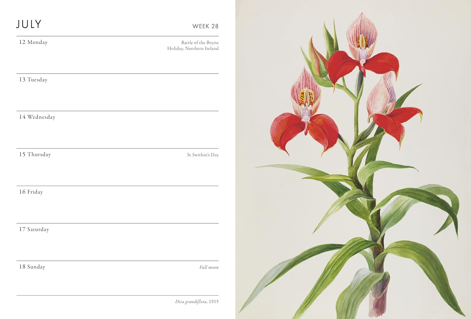 2027 RHS Desk - Weekly Diary/Planner