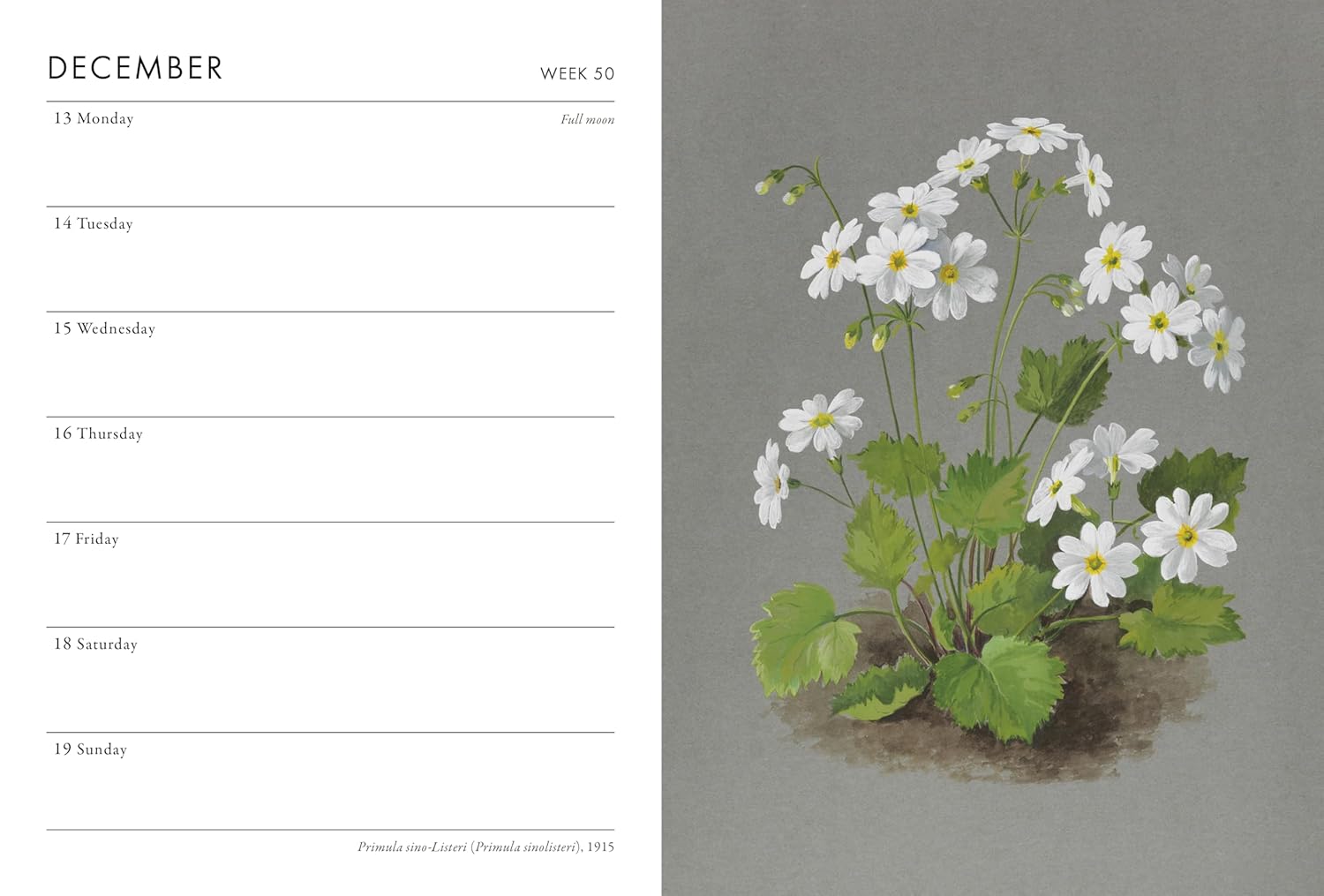 2027 RHS Desk - Weekly Diary/Planner