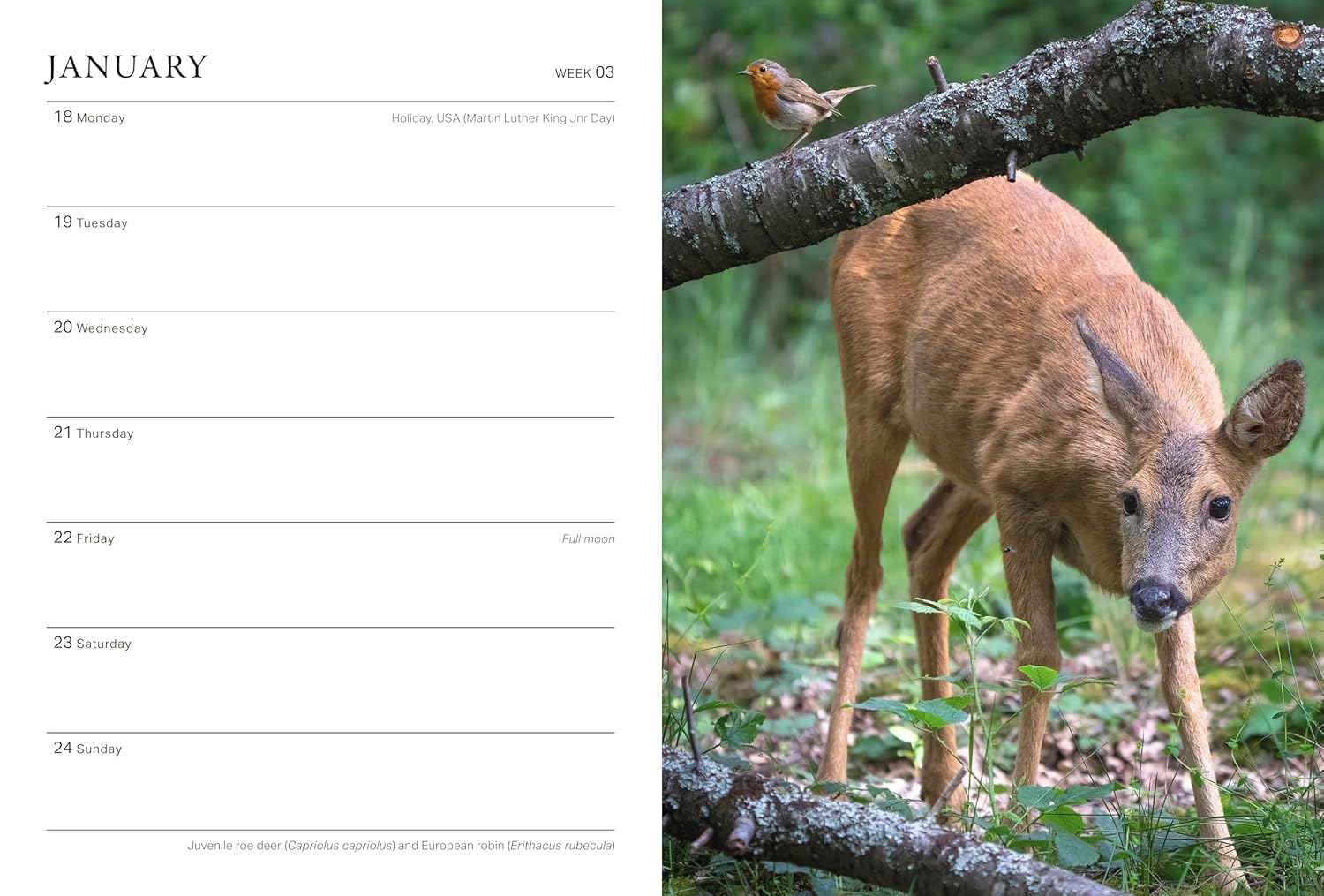 2027 RHS Wild in the Garden - Weekly Diary/Planner