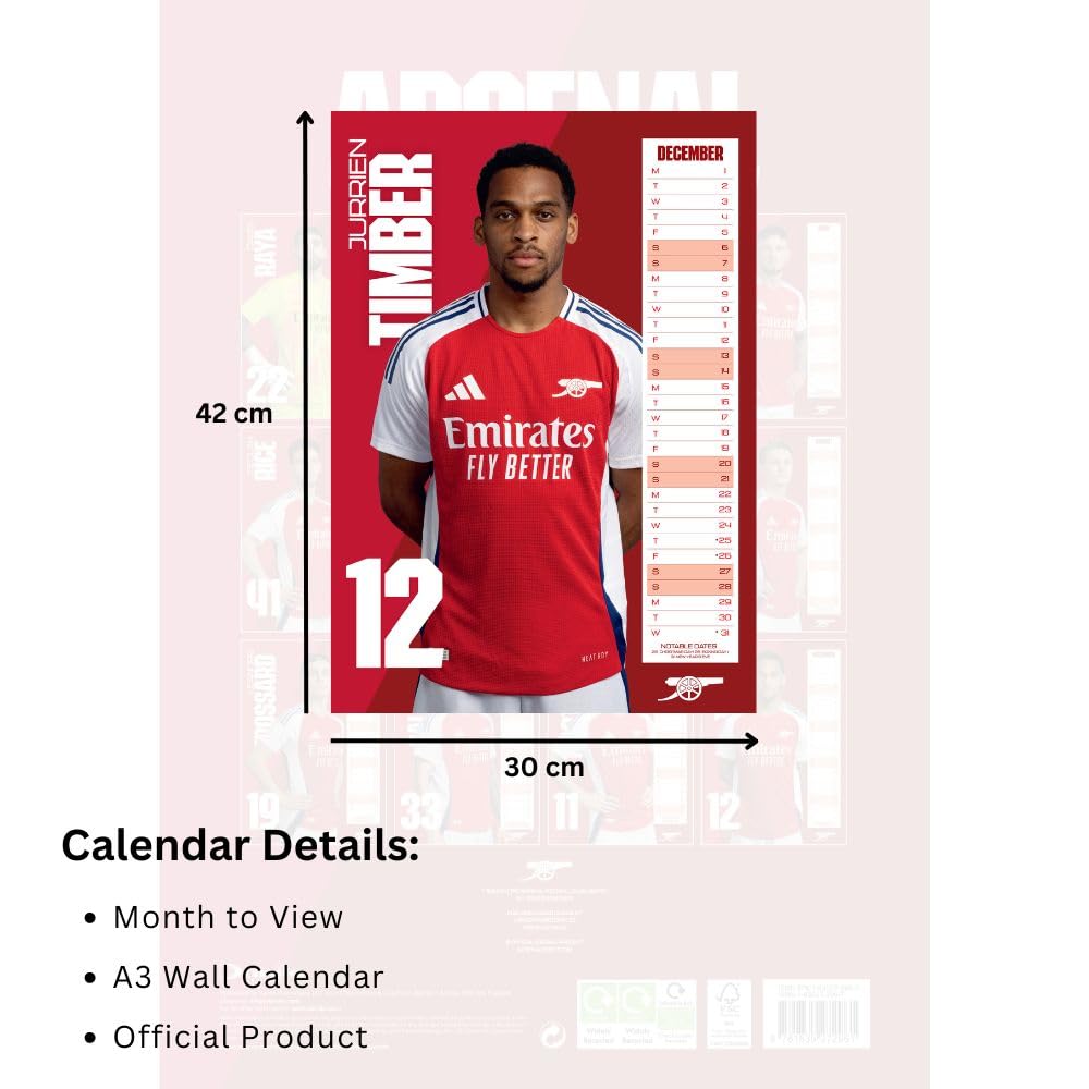 2025 Arsenal Fc - A3 Wall Calendar