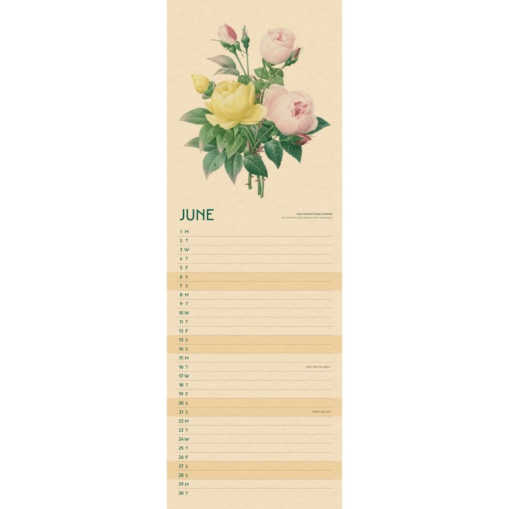 2026 RHS - Flowers - Slim Wall Calendar