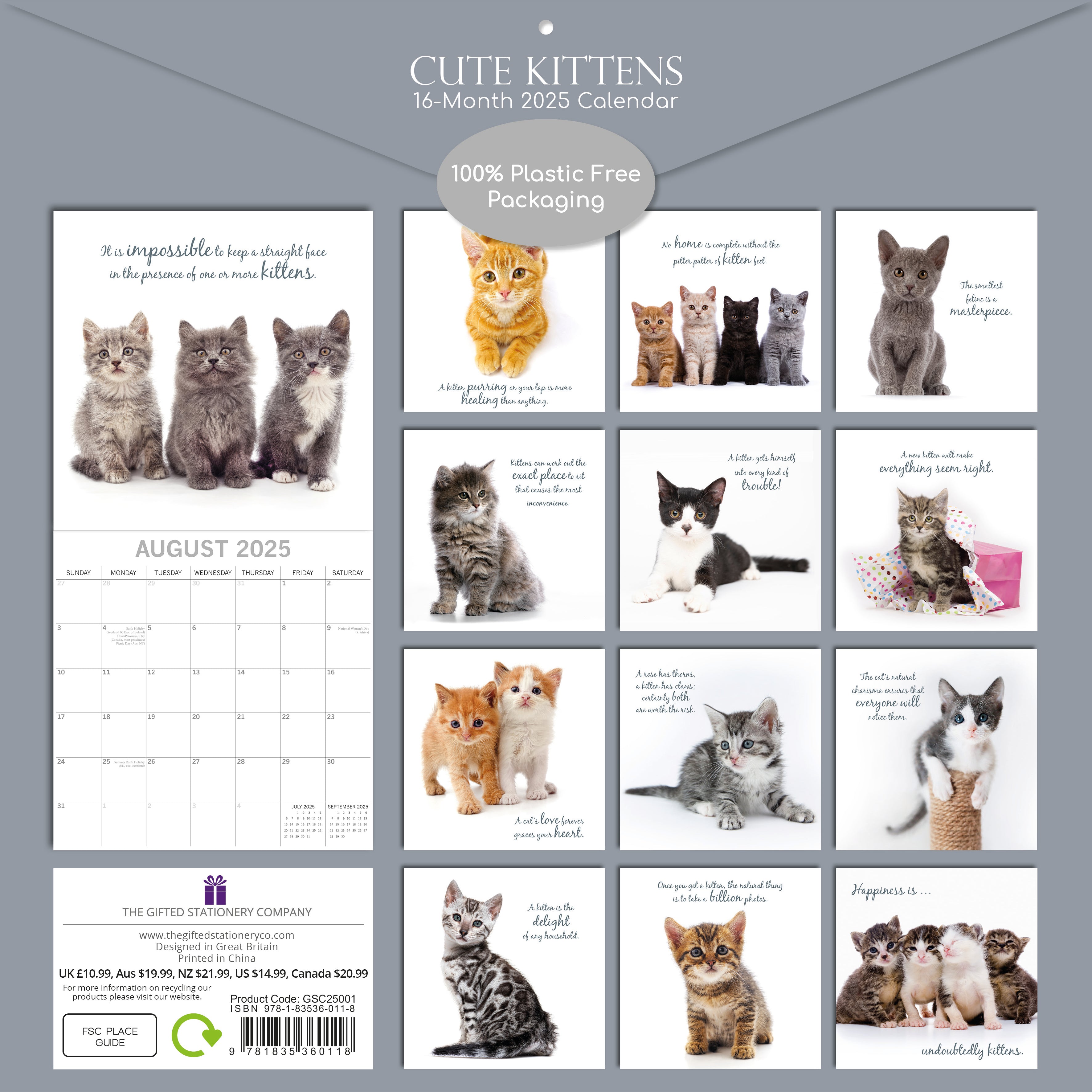 2025 Cute Kittens - Square Wall Calendar