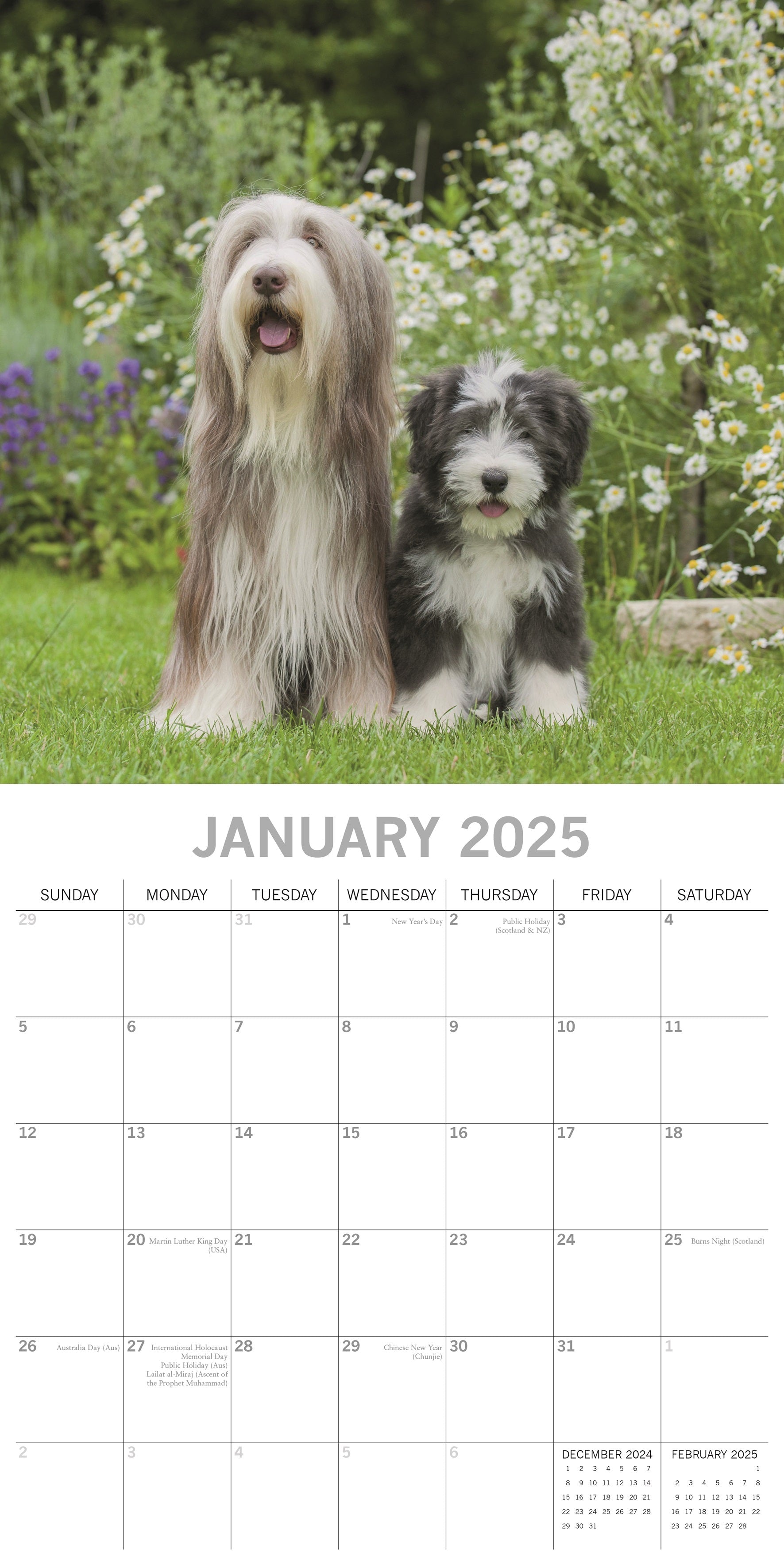 2025 Dogs & Puppies - Square Wall Calendar