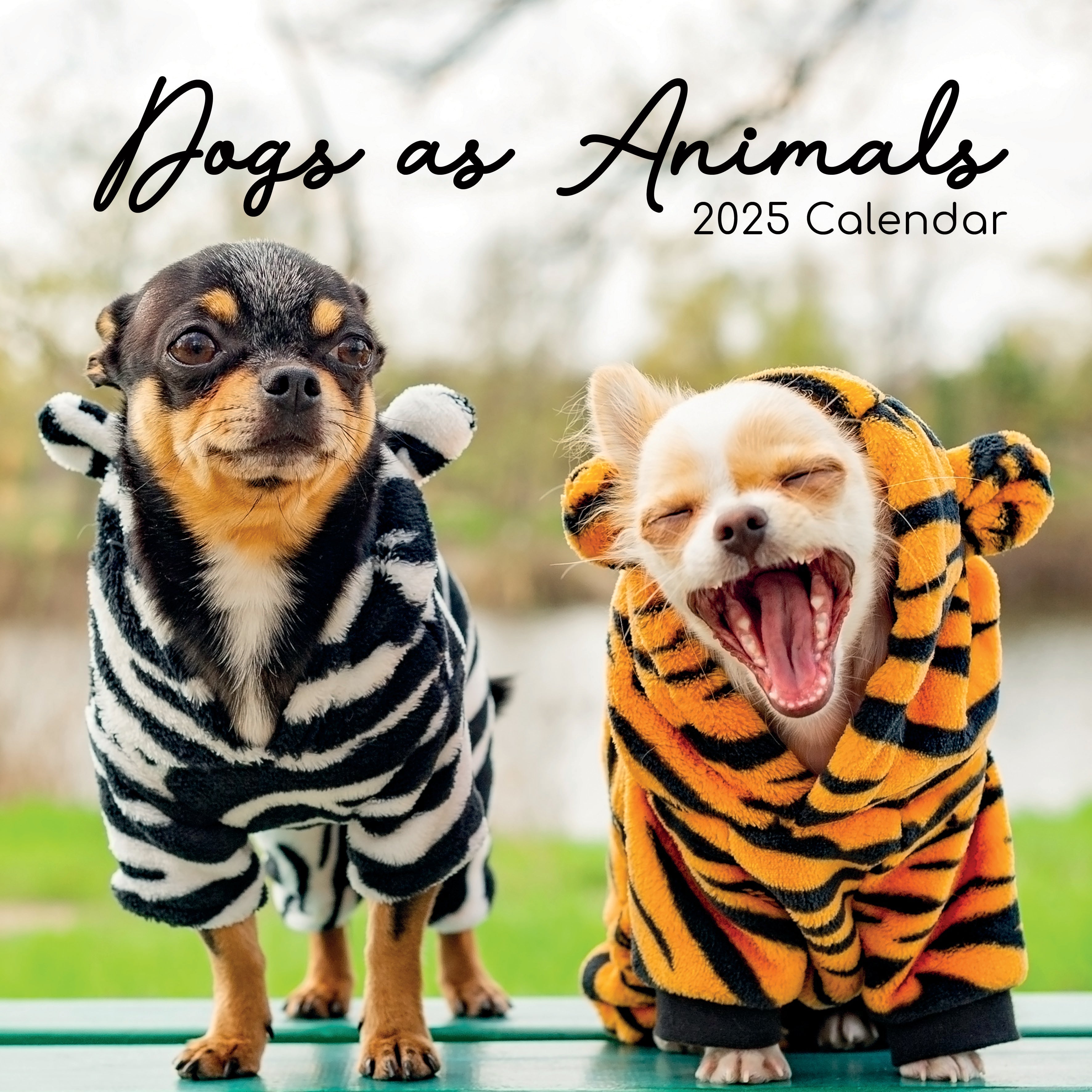 2025 Dogs as Animals - Square Wall Calendar