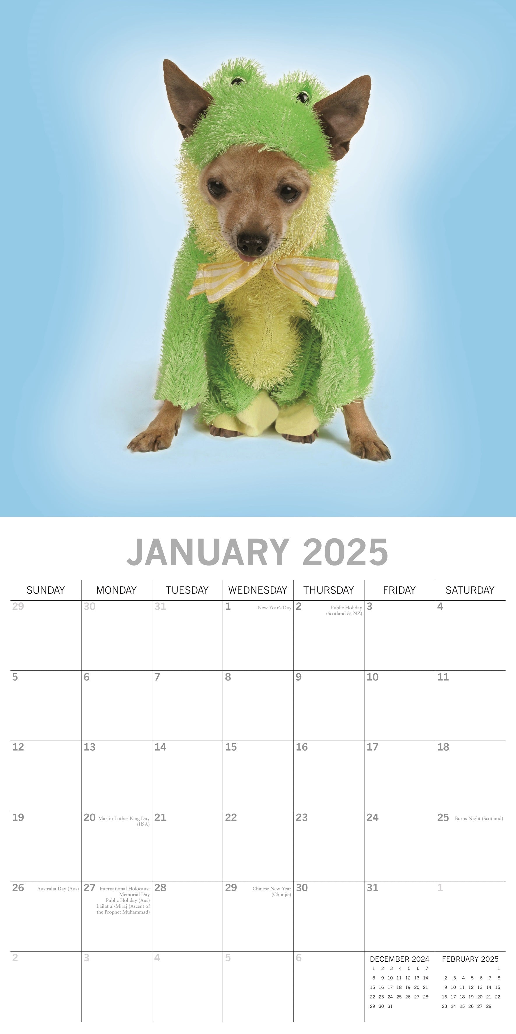 2025 Dogs as Animals - Square Wall Calendar