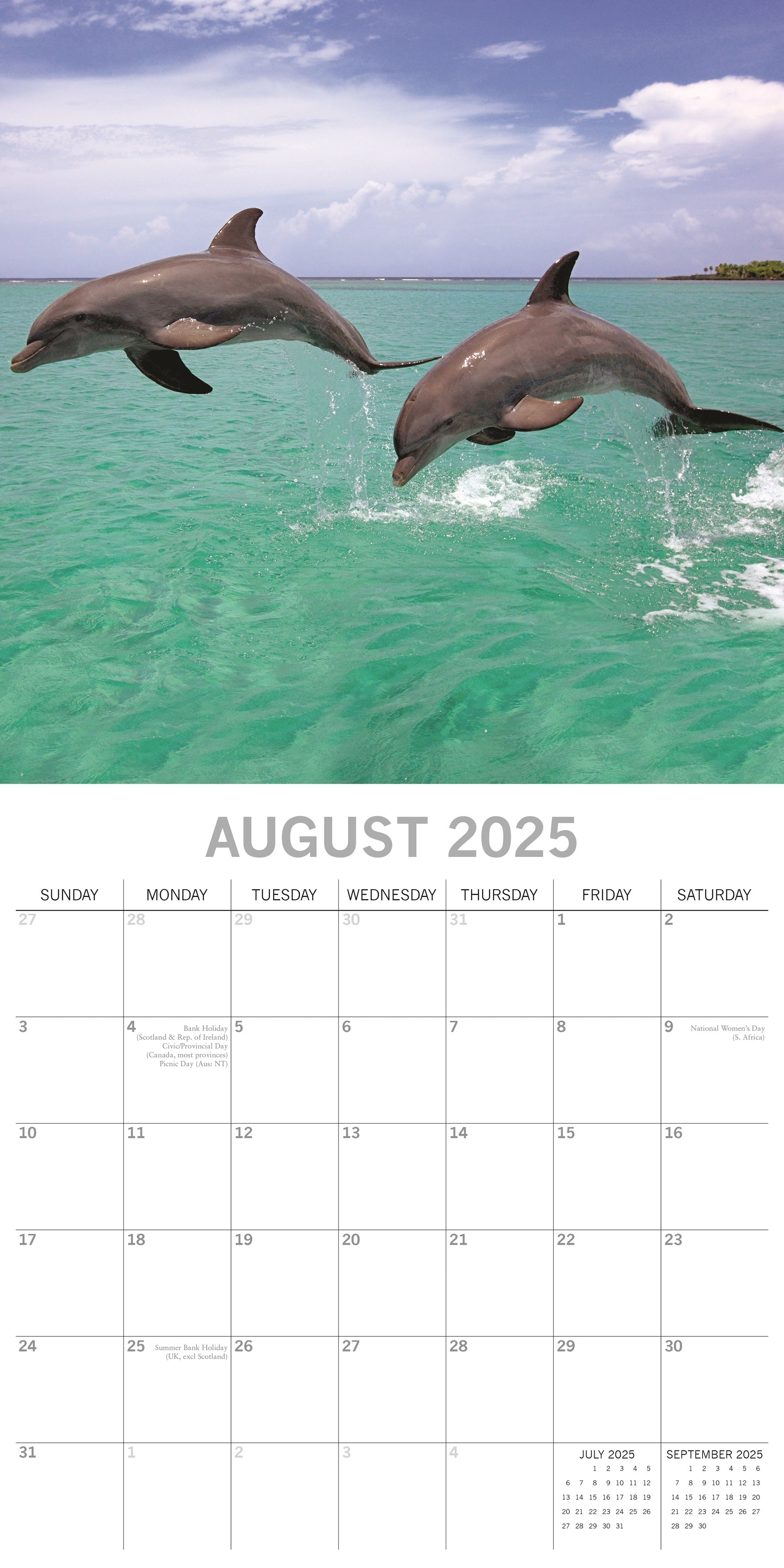 2025 Dolphins - Square Wall Calendar