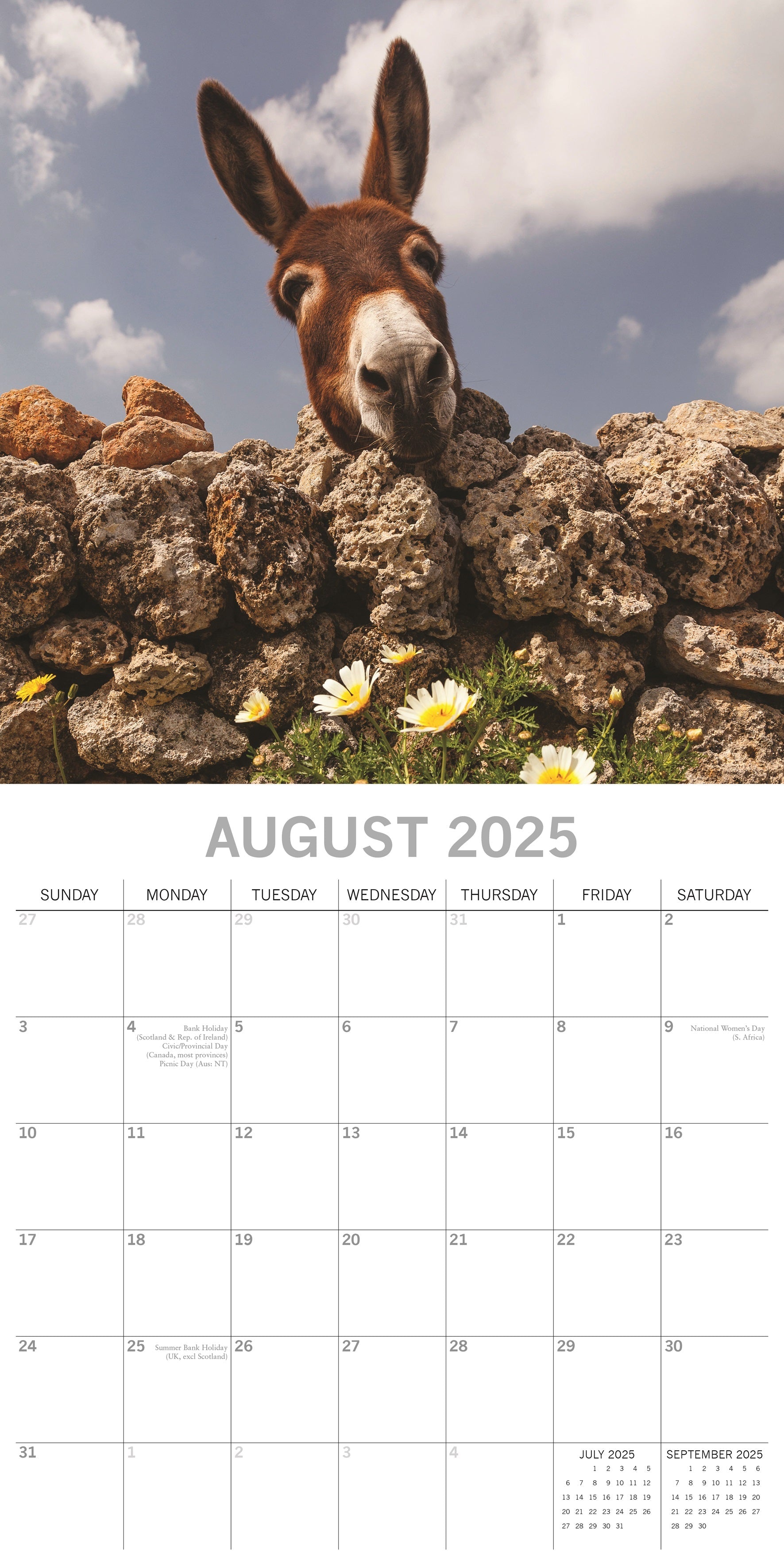 2025 Donkeys - Square Wall Calendar