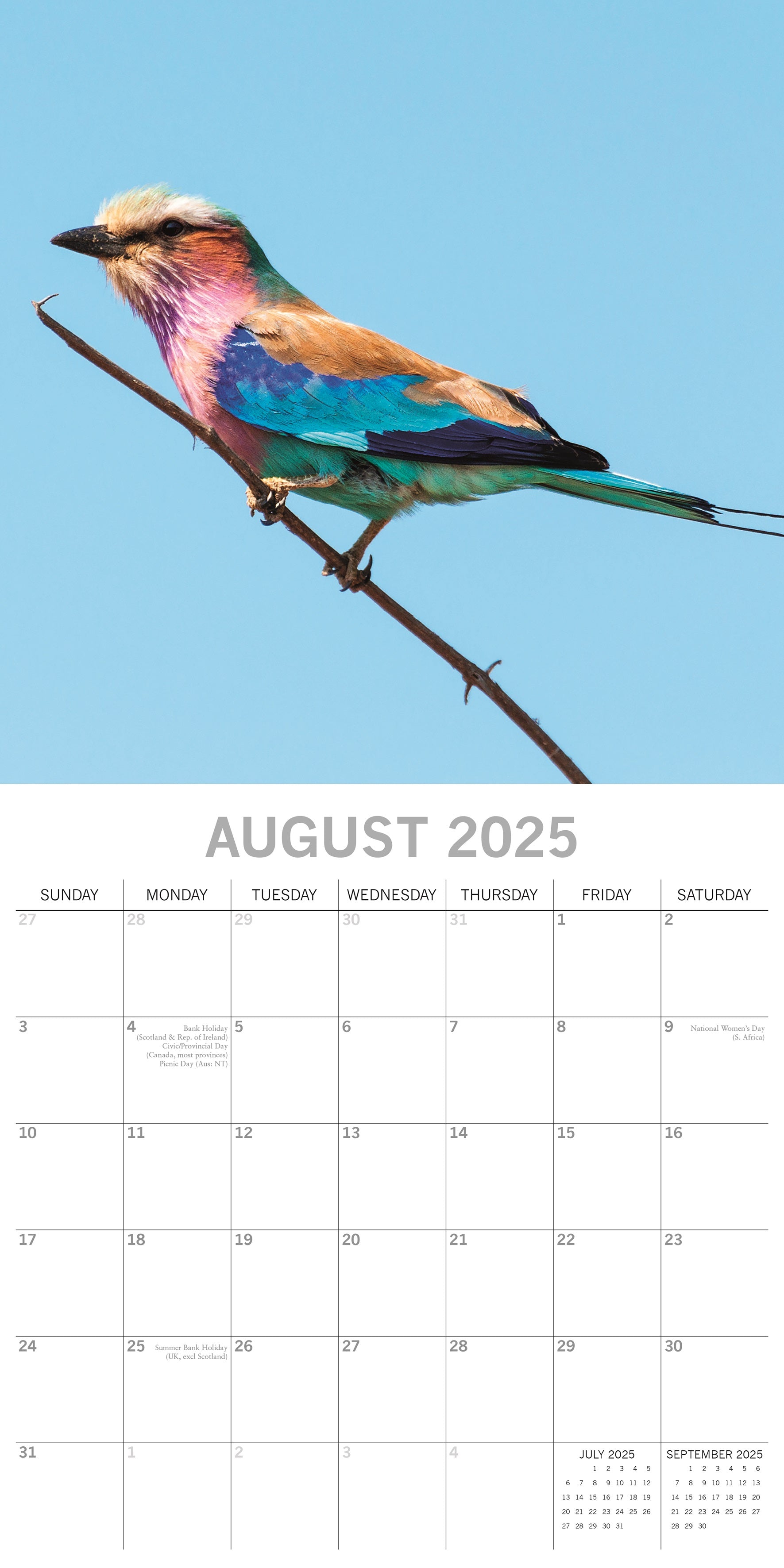 2025 Exotic Birds - Square Wall Calendar