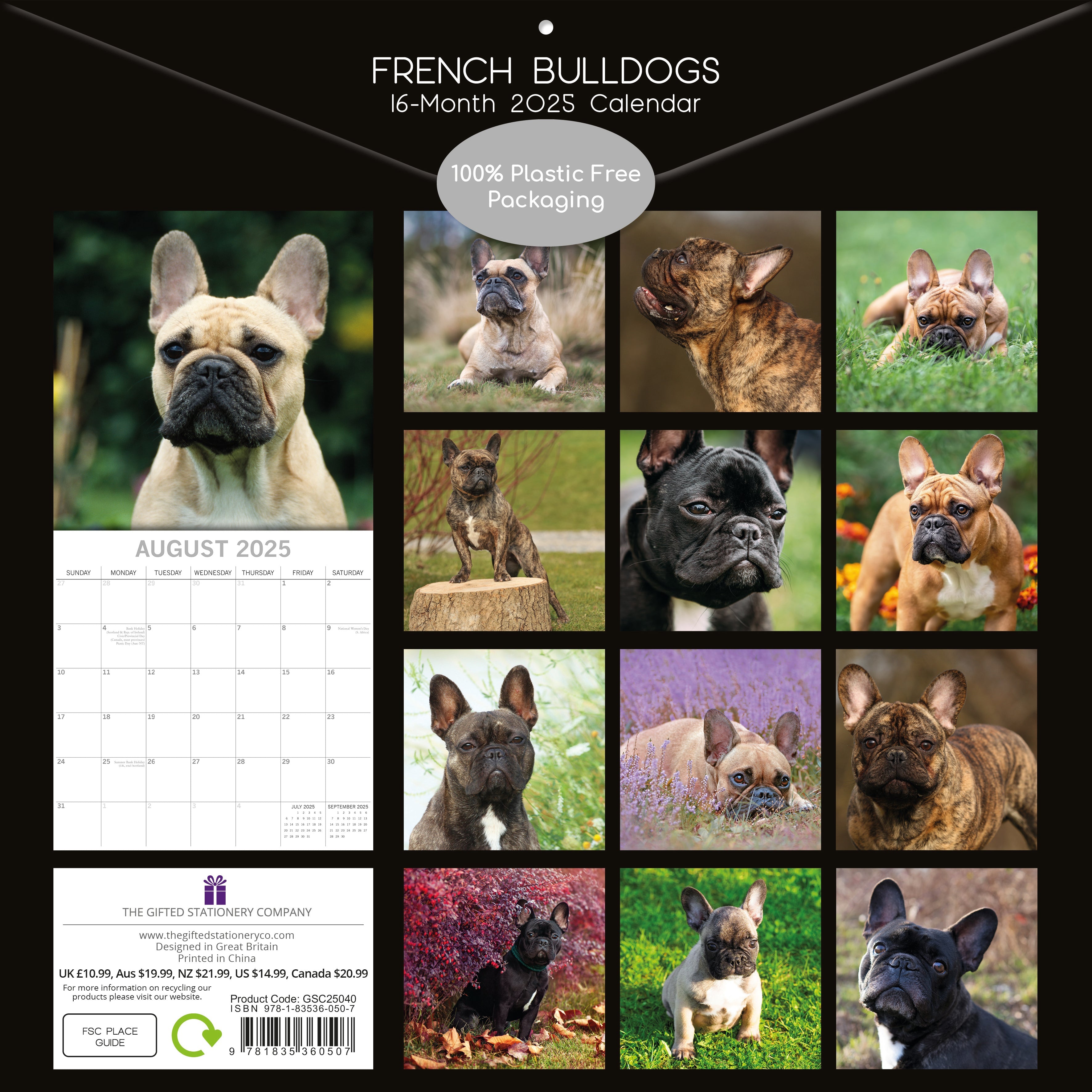 2025 French Bulldogs - Square Wall Calendar