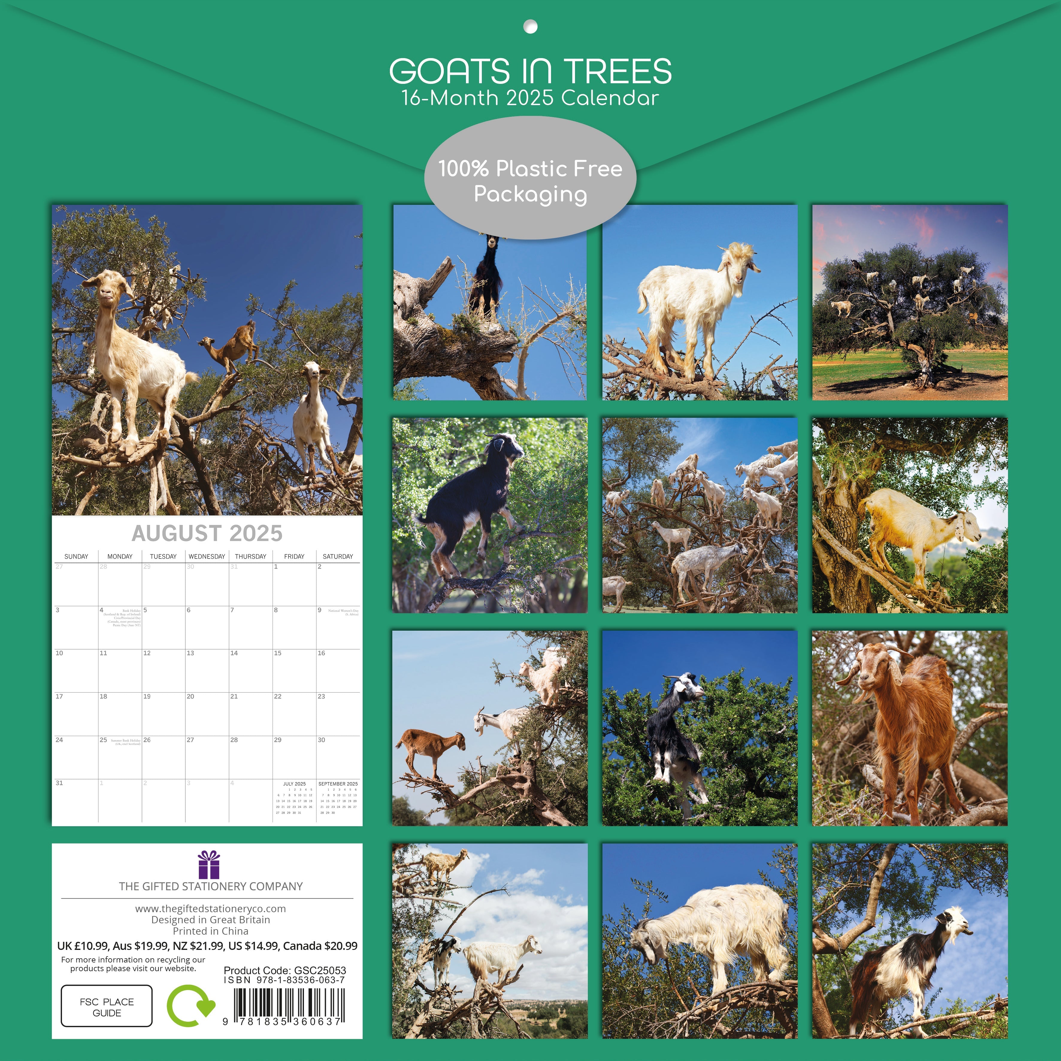 2025 Goats in Trees - Square Wall Calendar