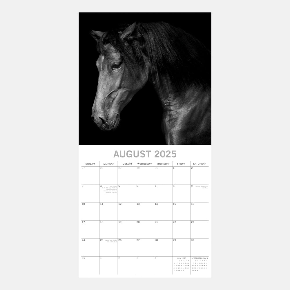 2025 Horse Portraits - Square Wall Calendar