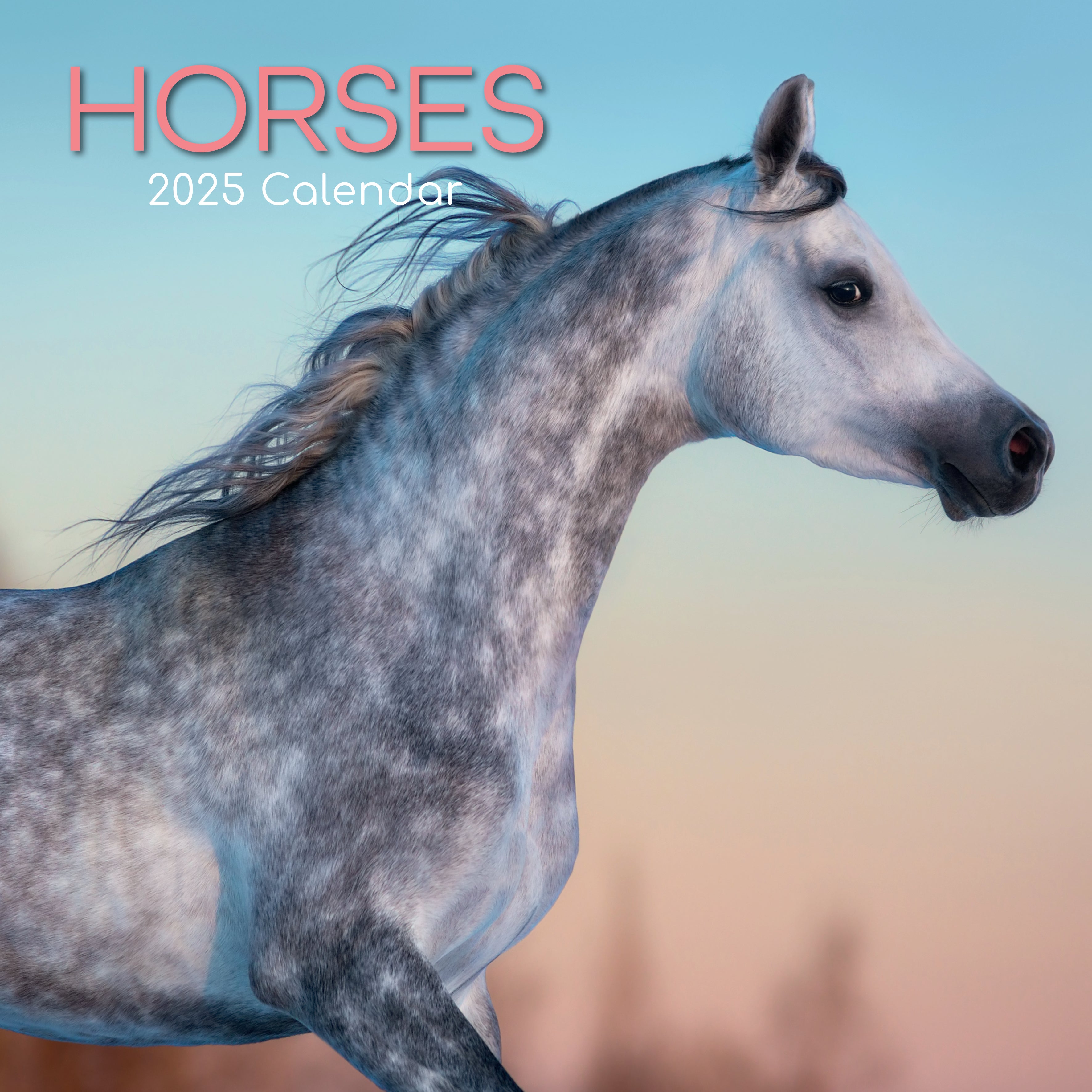 2025 Horses - Square Wall Calendar