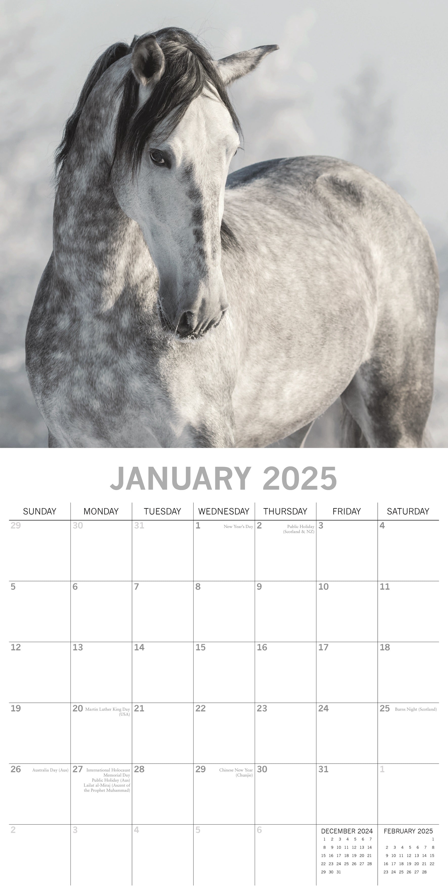 2025 Horses - Square Wall Calendar