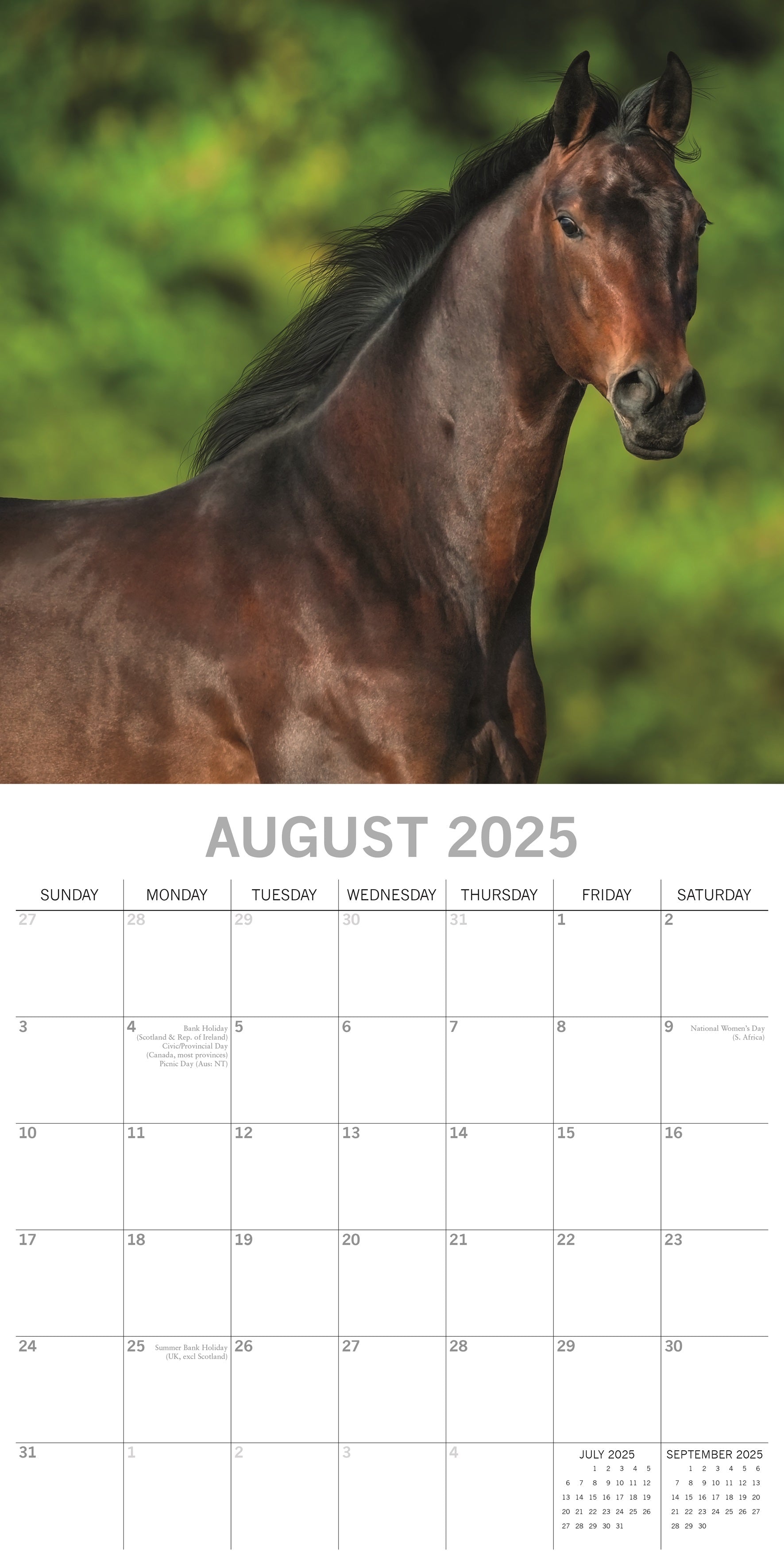 2025 Horses - Square Wall Calendar