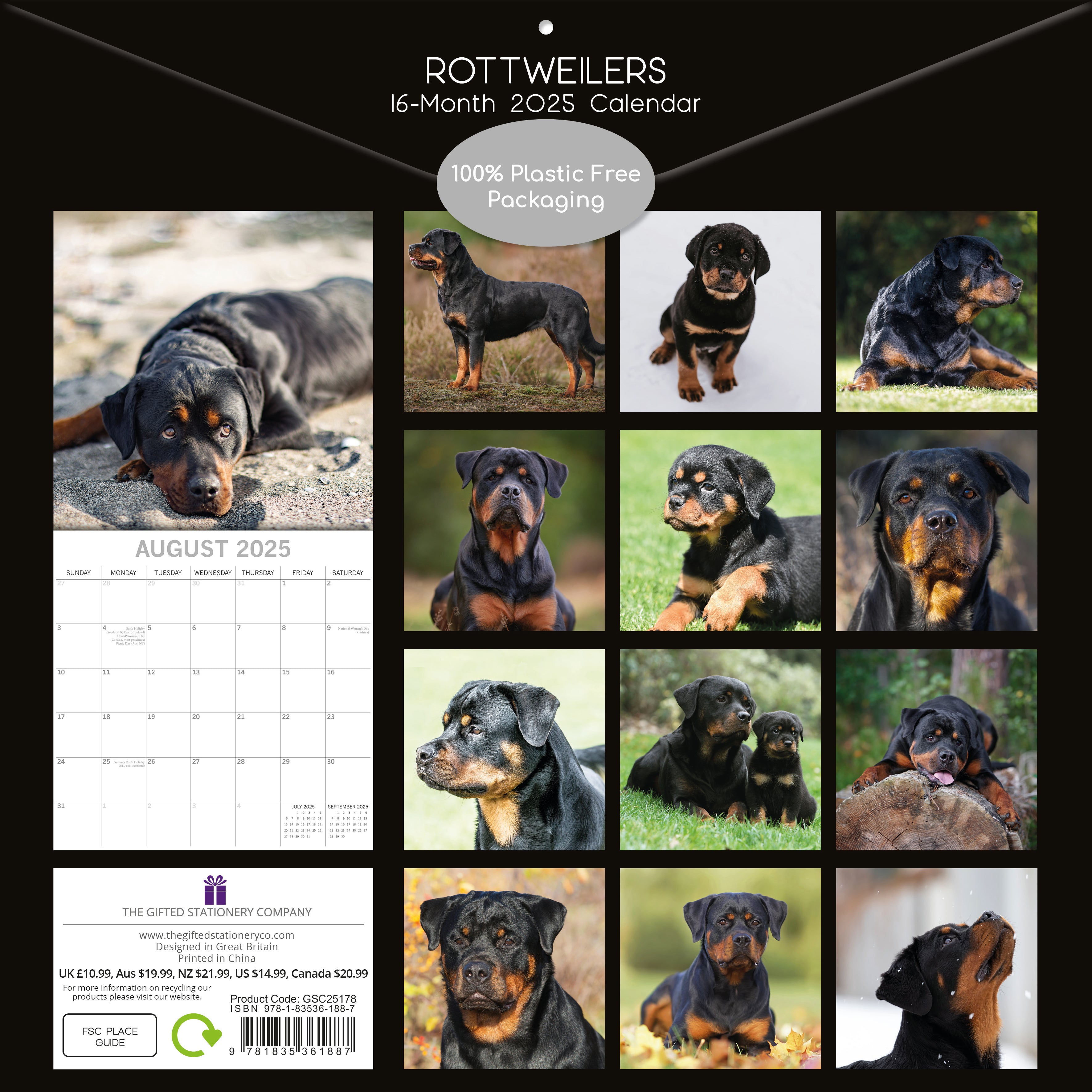 2025 Rottweilers - Square Wall Calendar