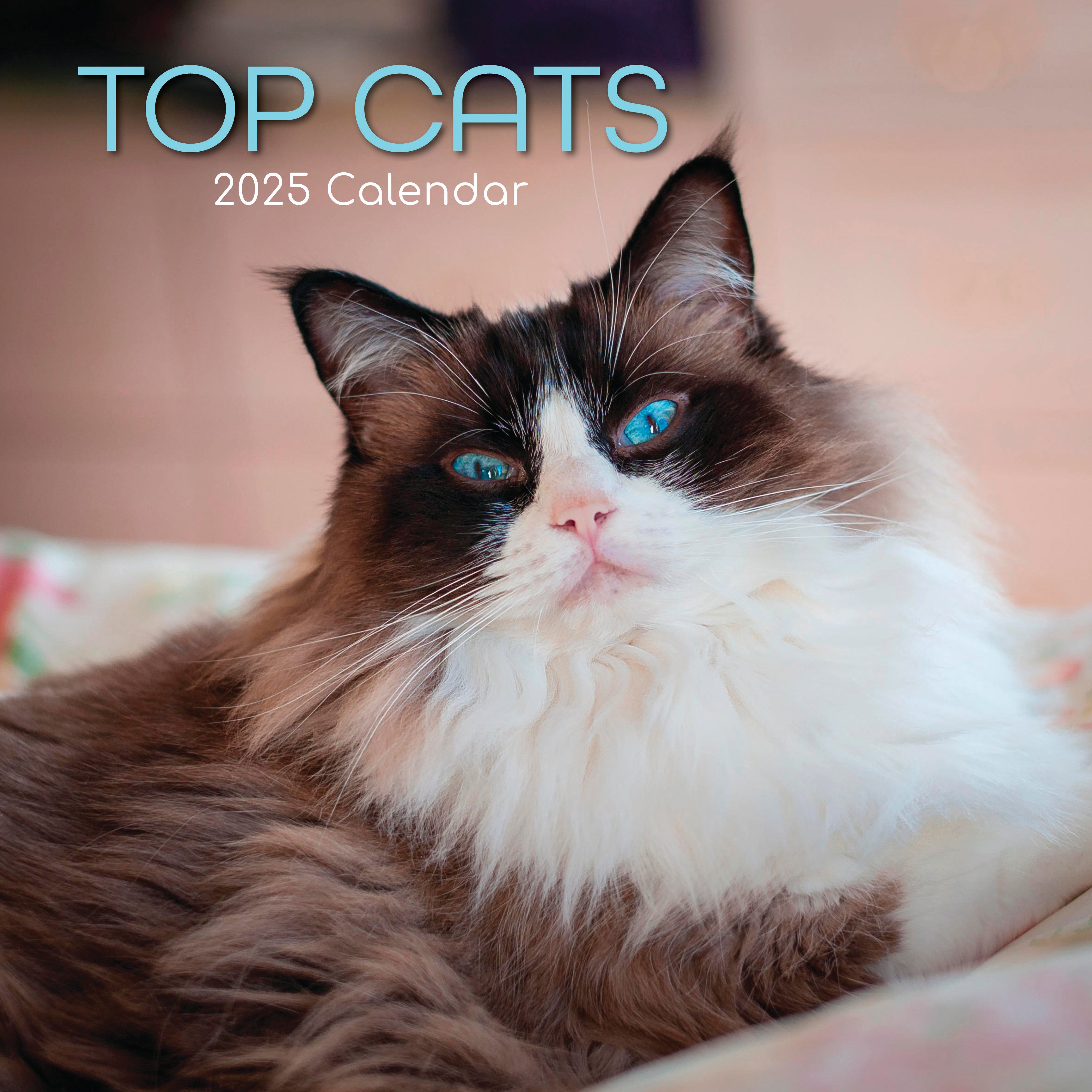 2025 Top Cats - Square Wall Calendar