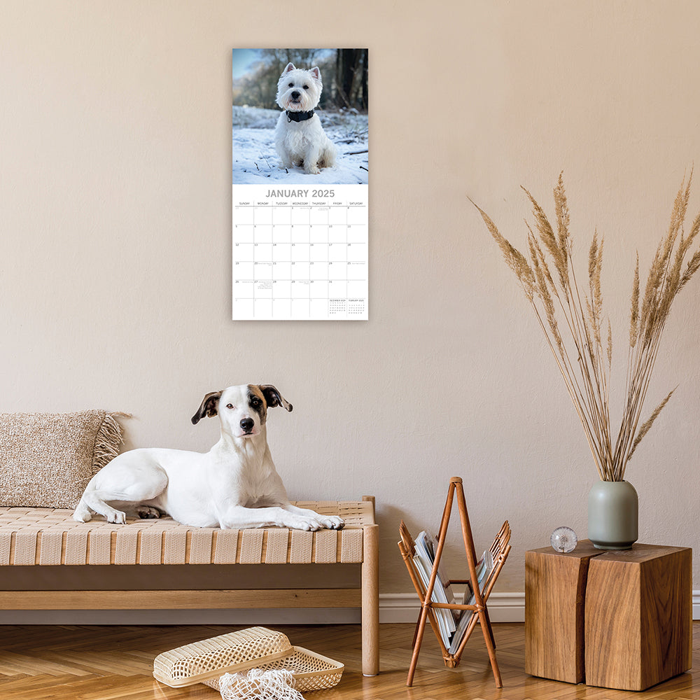 2025 West Highland White Terriers - Square Wall Calendar