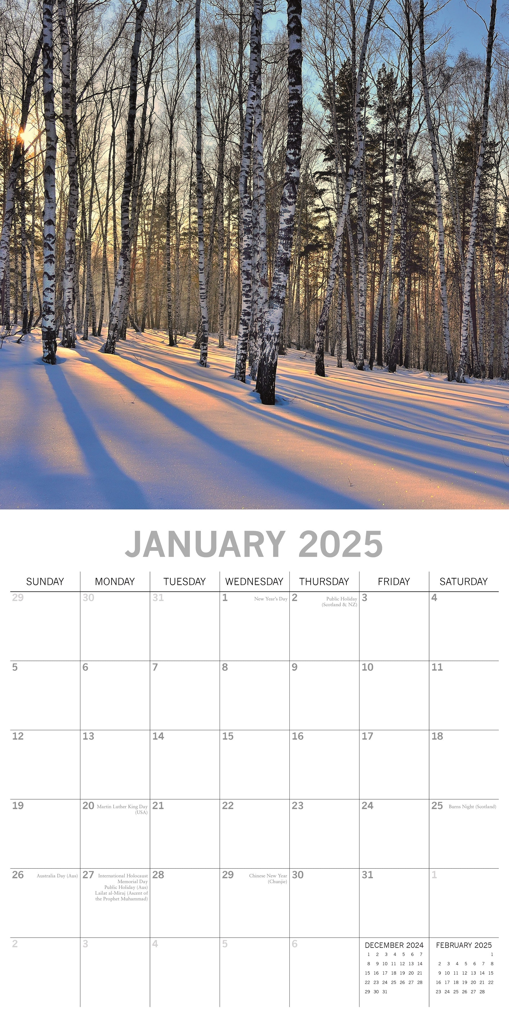 2025 Woodland Scenes - Square Wall Calendar