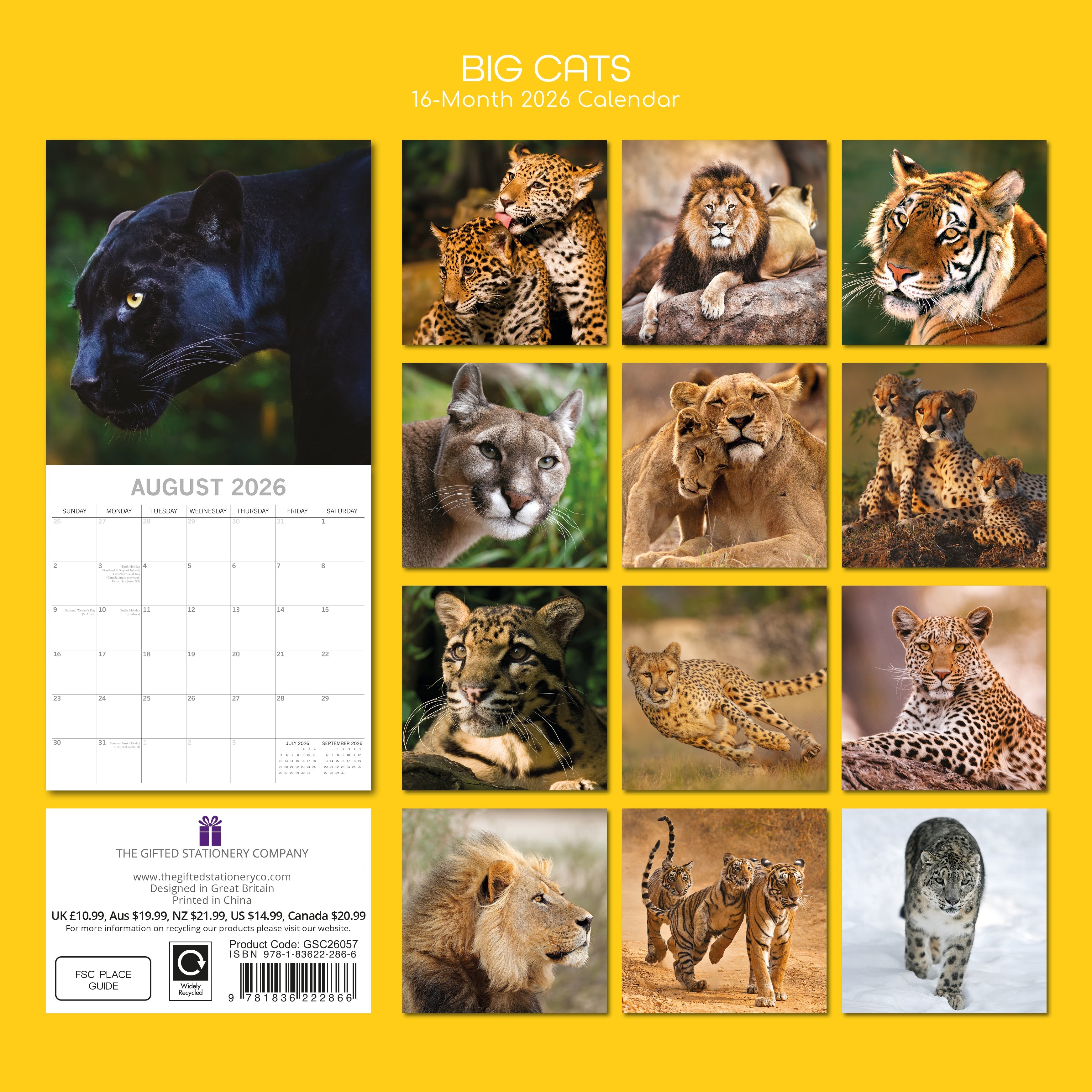 2026 Big Cats - Square Wall Calendar