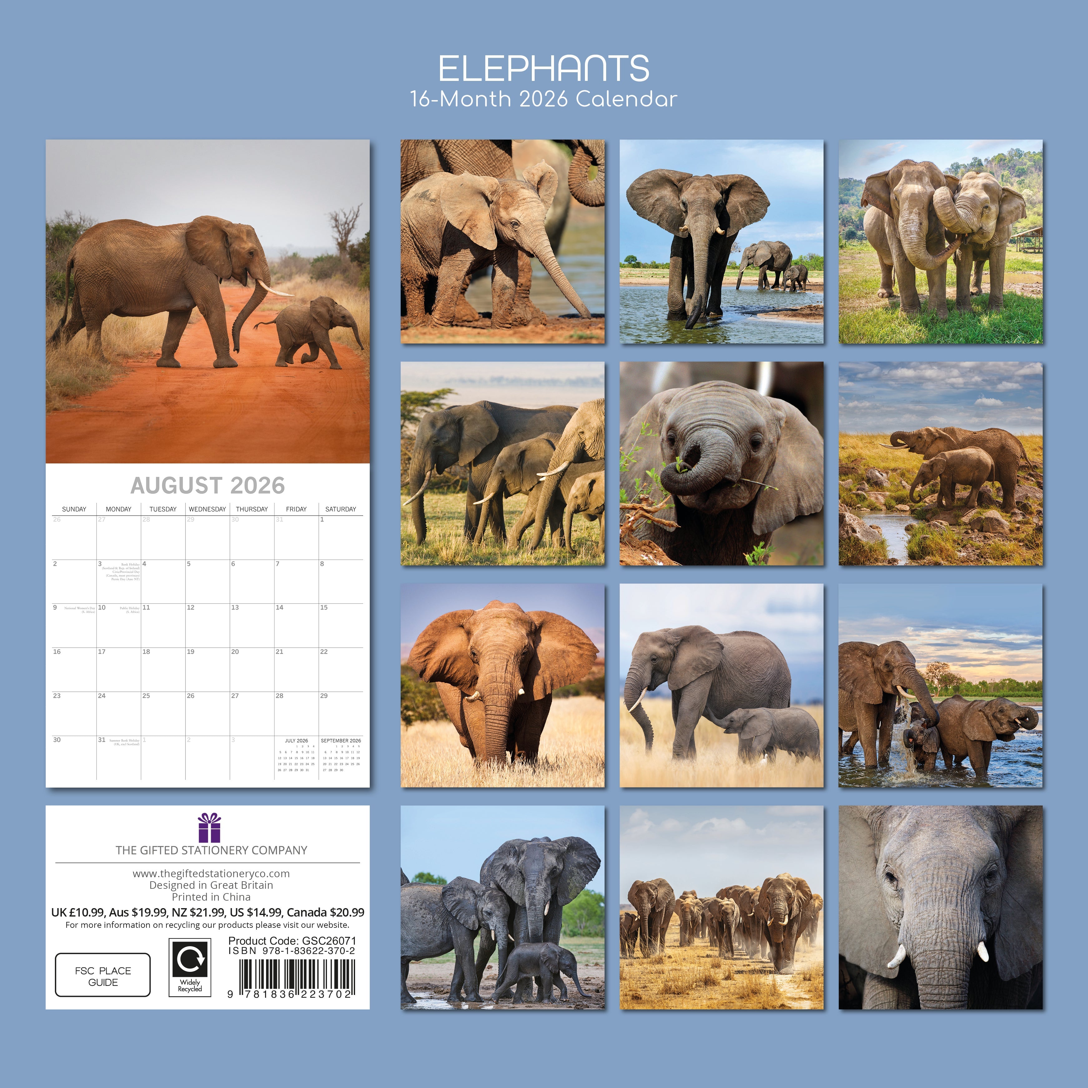 2026 Elephants - Square Wall Calendar