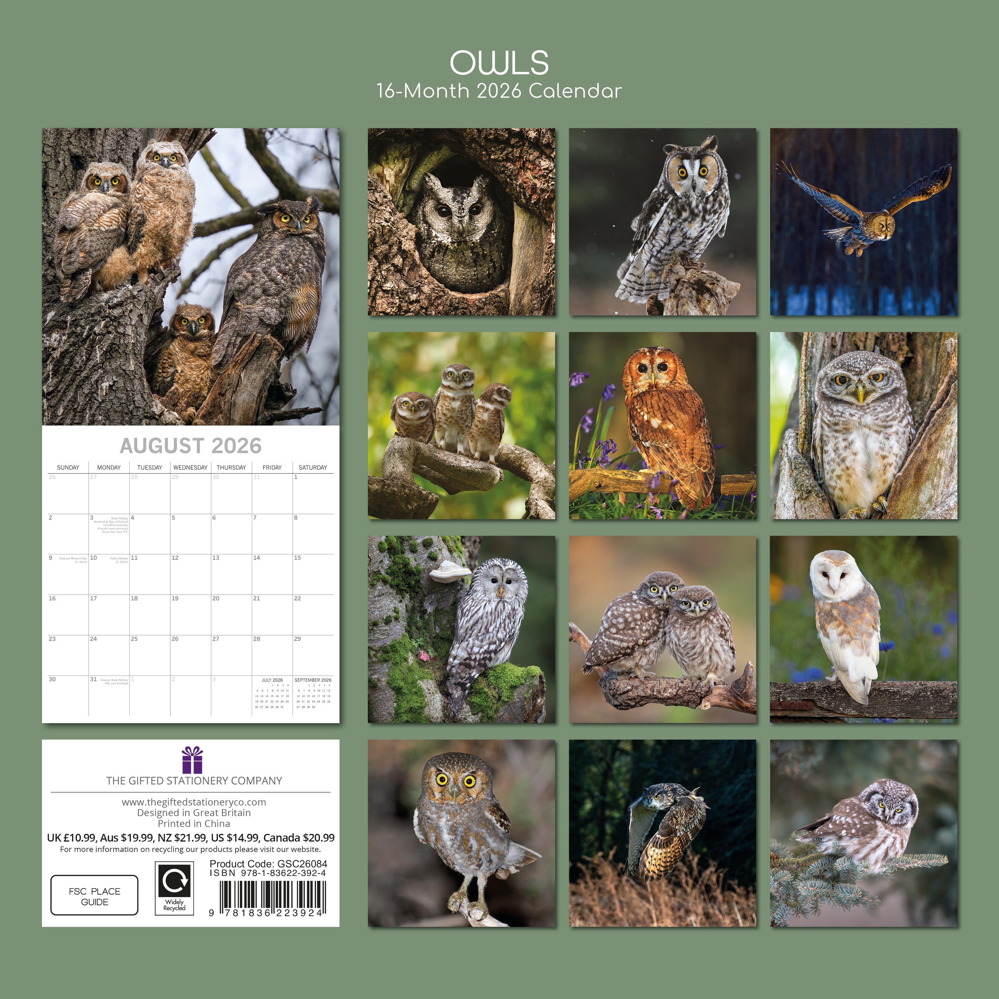 2026 Owls - Square Wall Calendar
