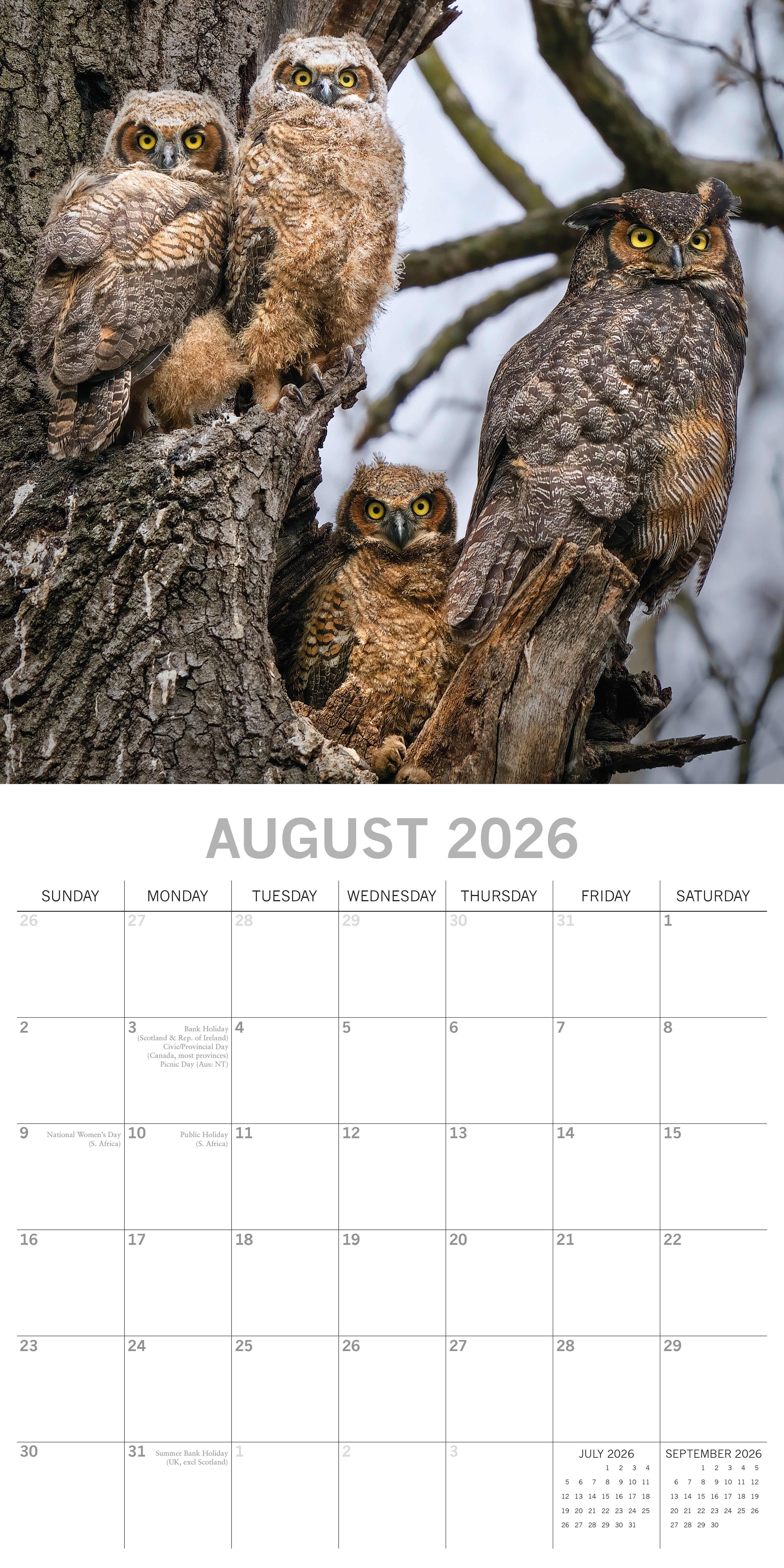 2026 Owls - Square Wall Calendar