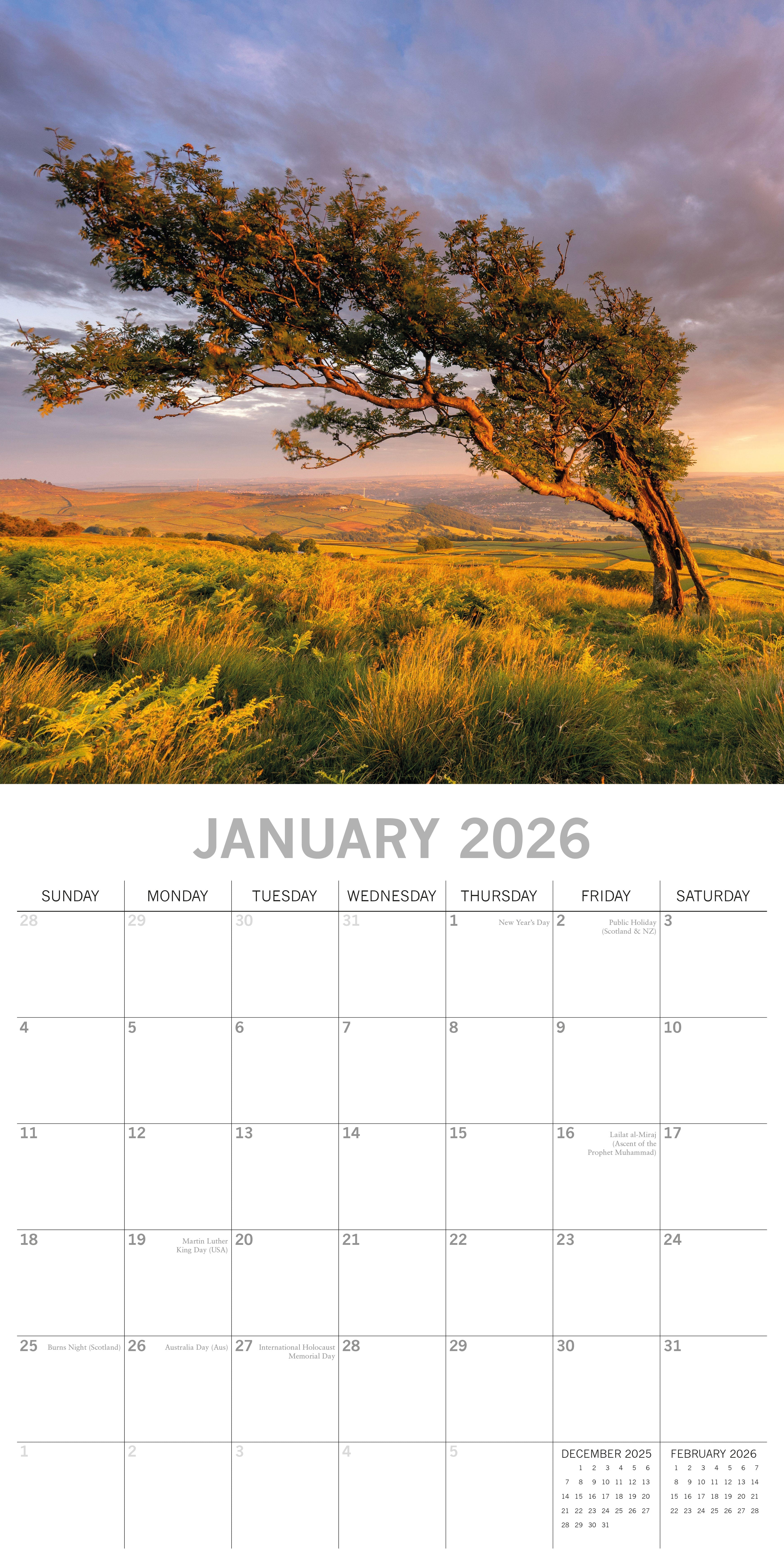 2026 Beauty of Trees - Square Wall Calendar