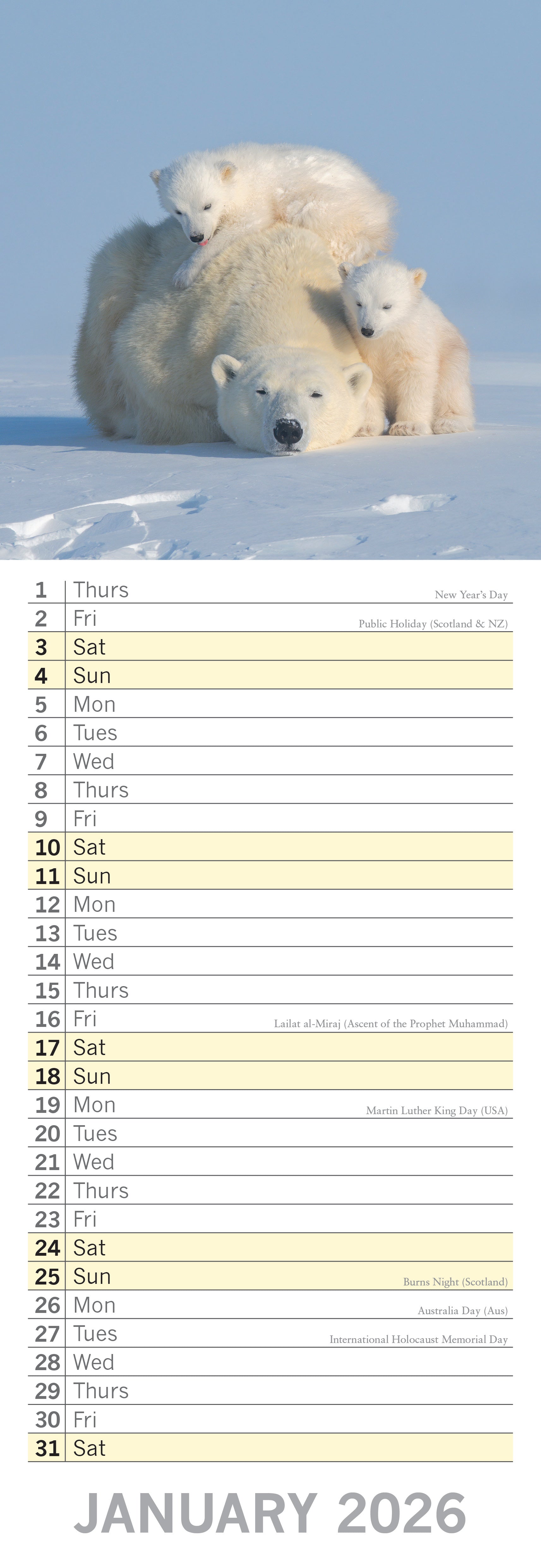 2026 Adorable Animals Slim Wall Calendar 2 25898667 4b90 42e4 B5dc 