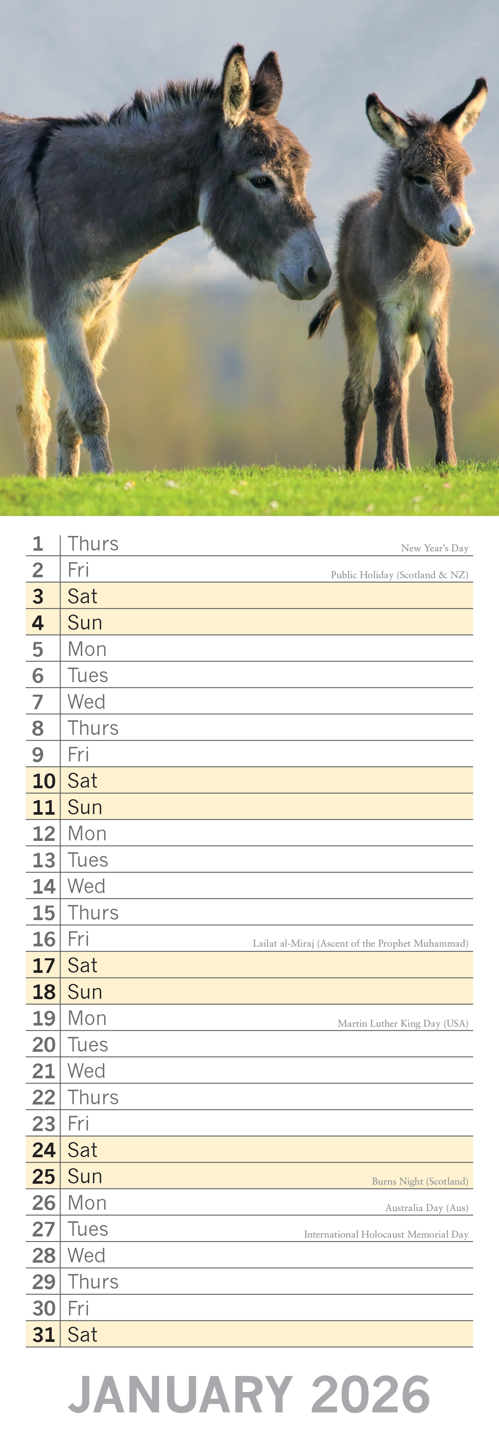 2026 Baby Animals - Slim Wall Calendar