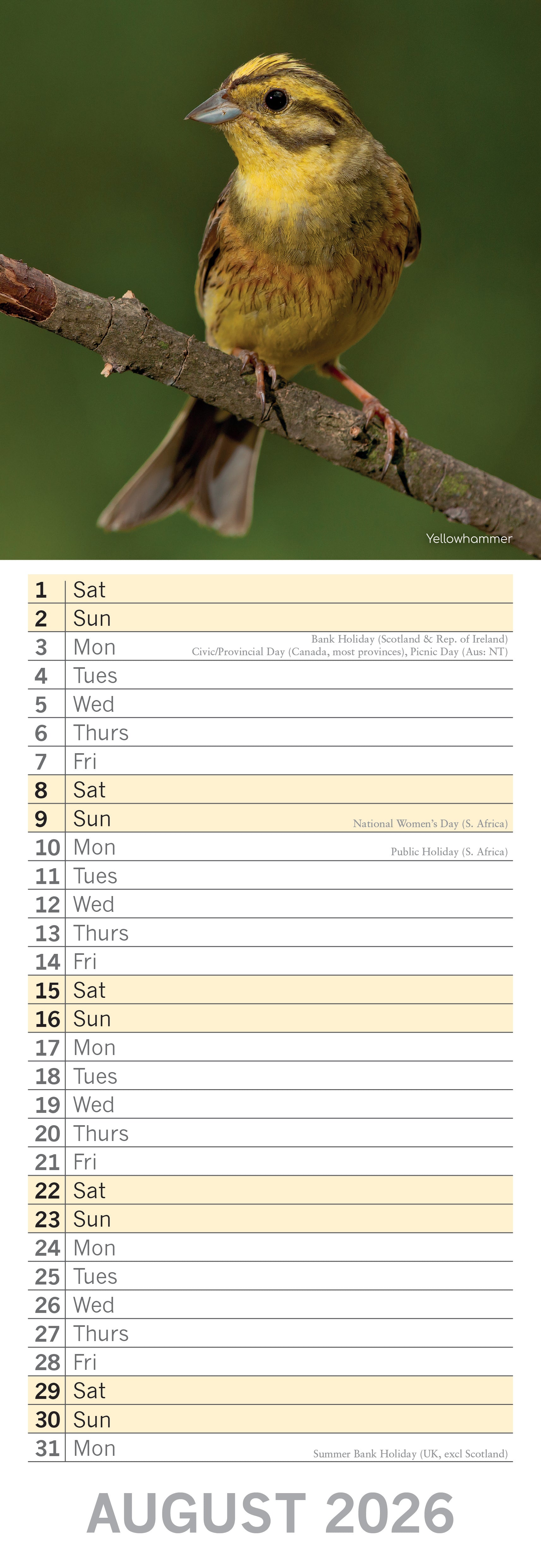 2026 Birds - Slim Wall Calendar