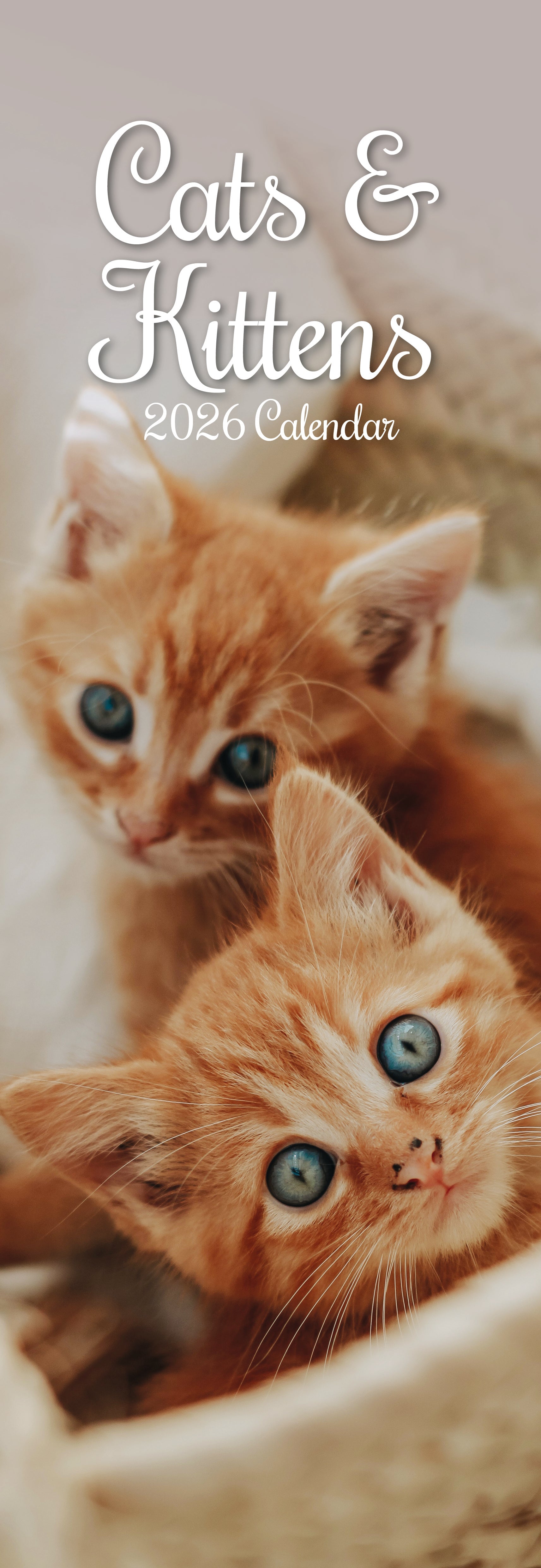 2026 Cats & Kittens - Slim Wall Calendar