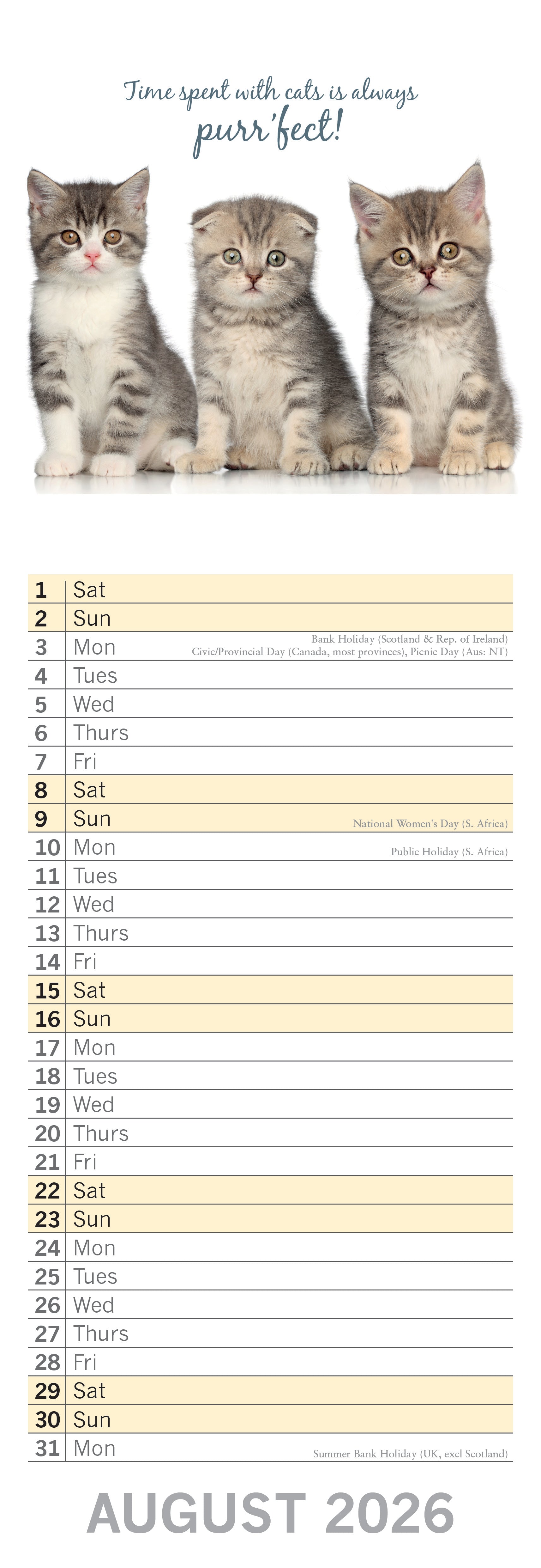 2026 Cute Kittens - Slim Wall Calendar