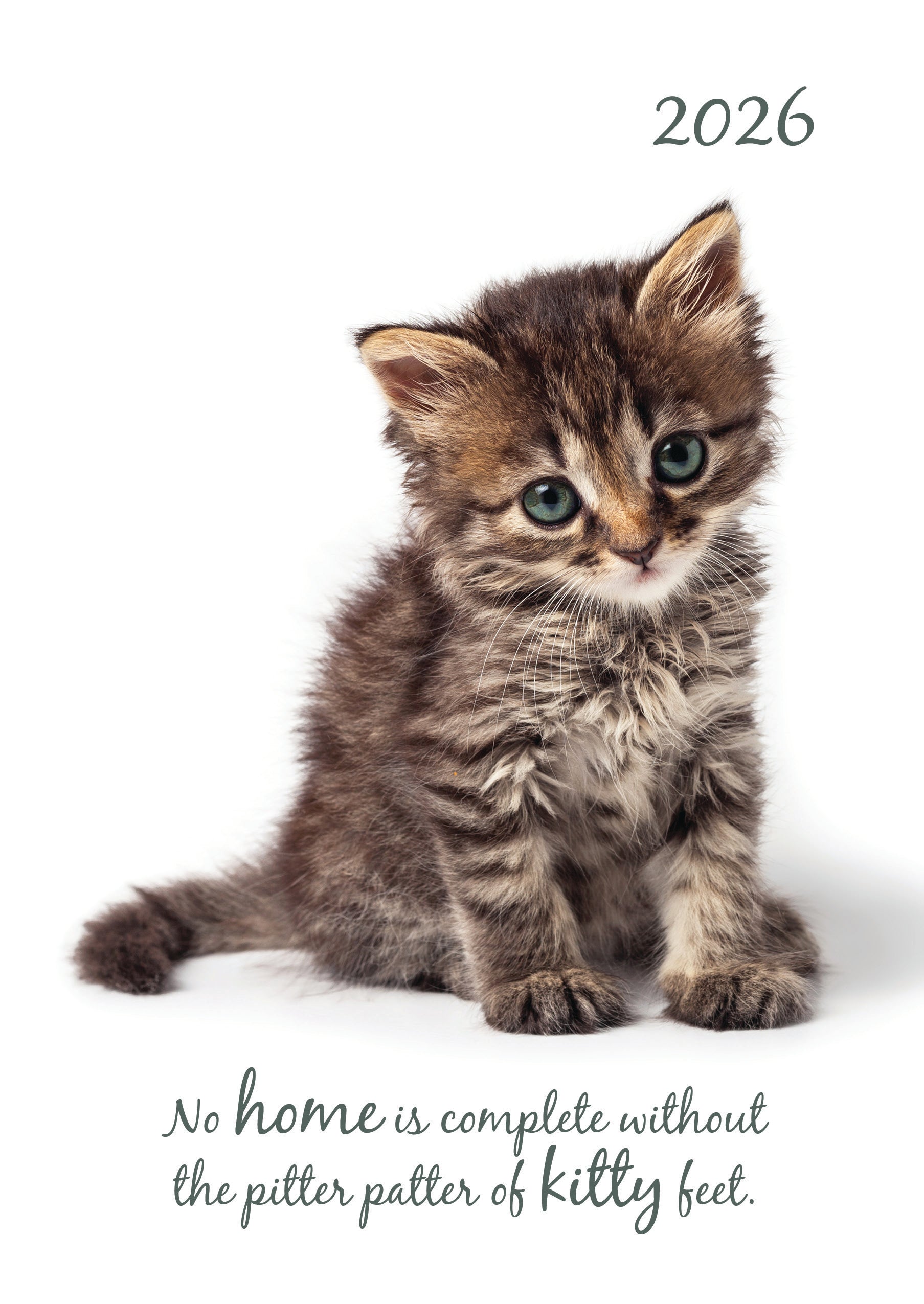 2026 Cute Kittens - Weekly Diary/Planner