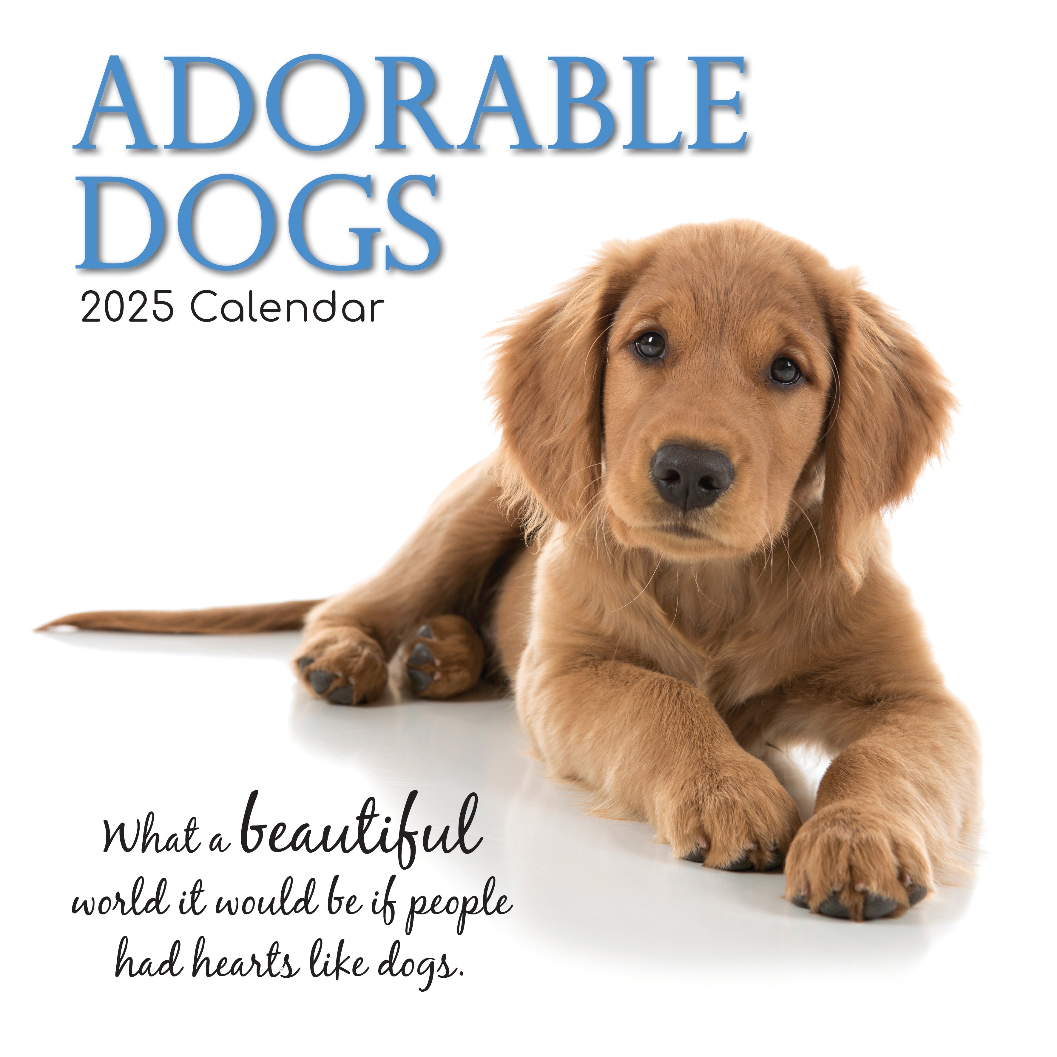 2025 Adorable Dogs - Square Wall Calendar