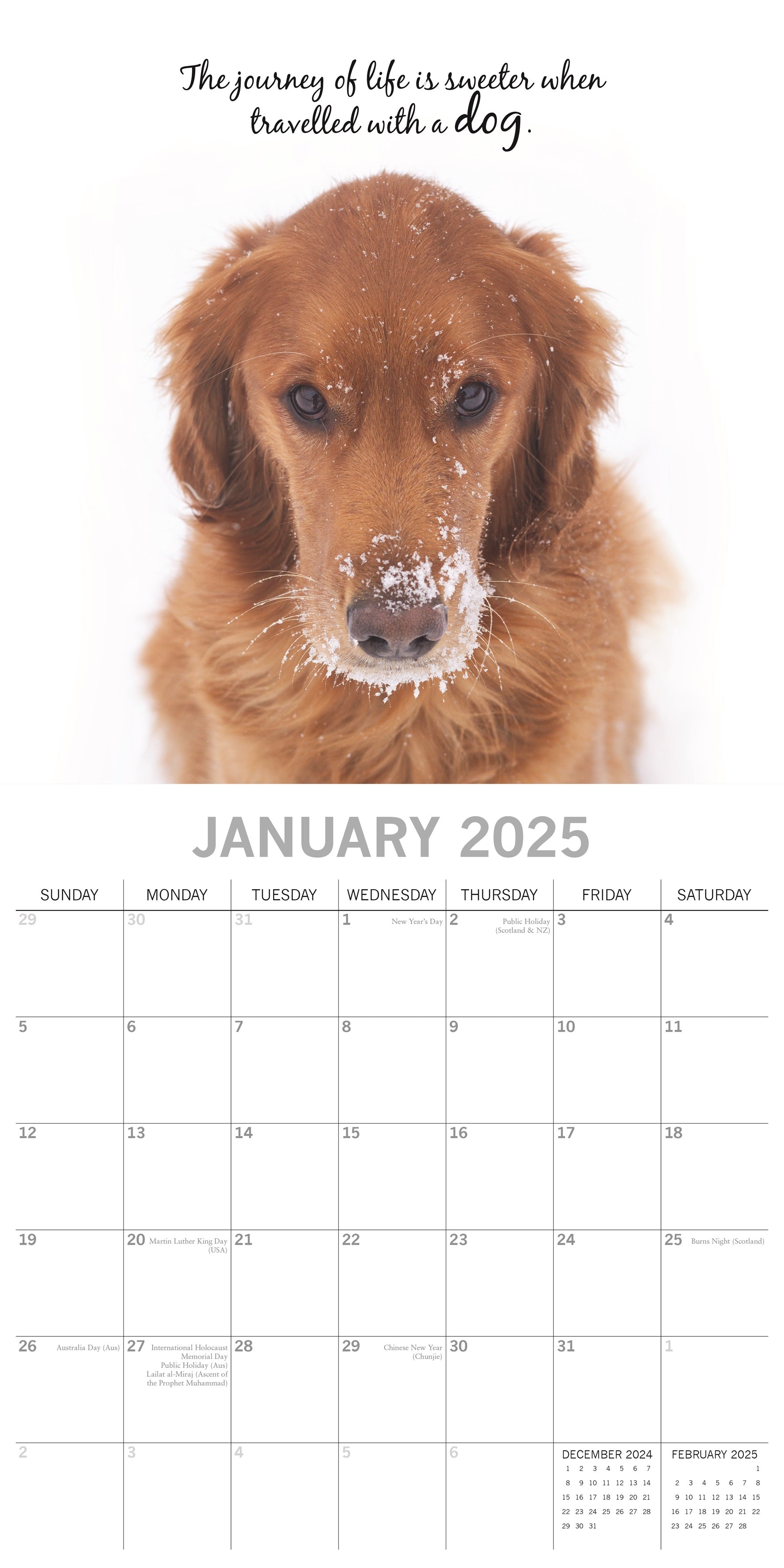 2025 Adorable Dogs - Square Wall Calendar